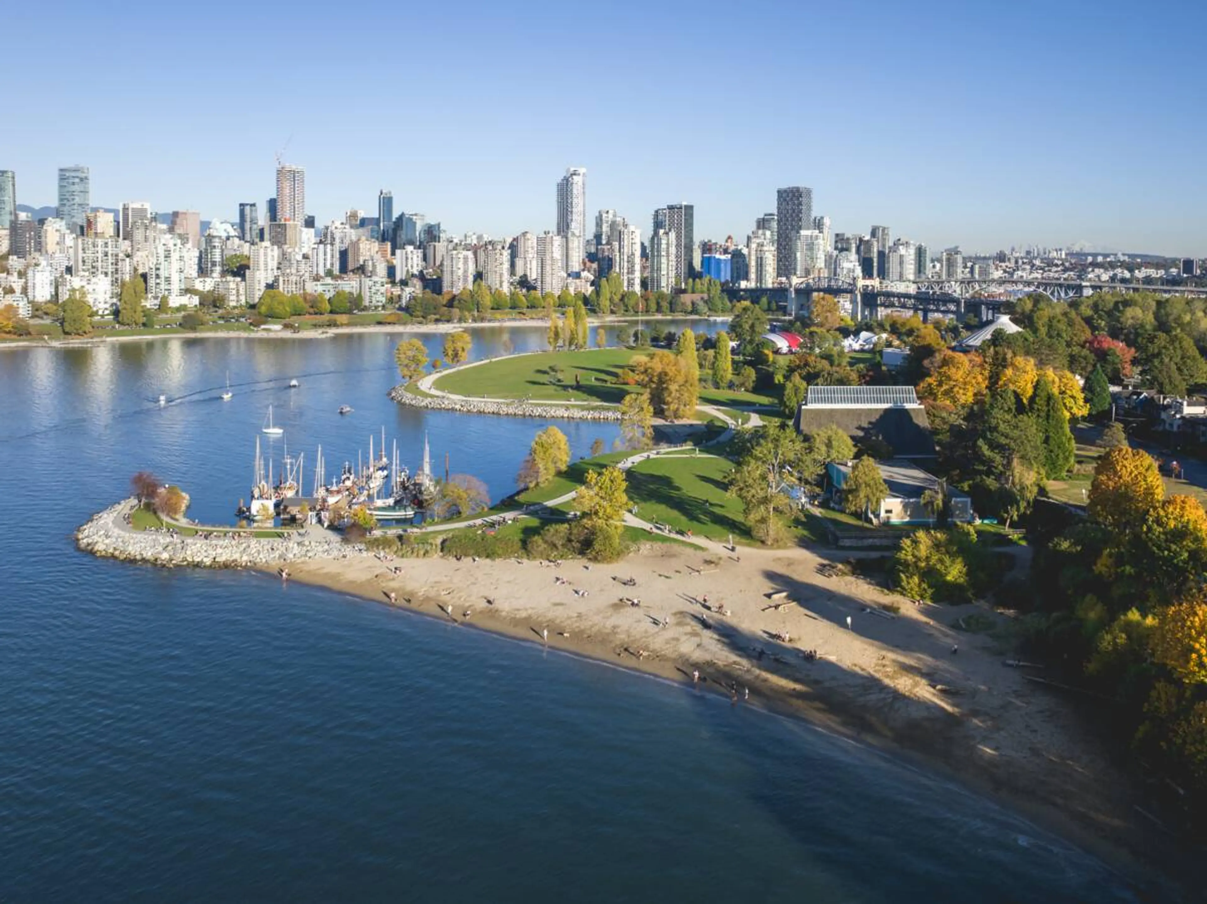 Aerial photo of Hadden Park dog beach