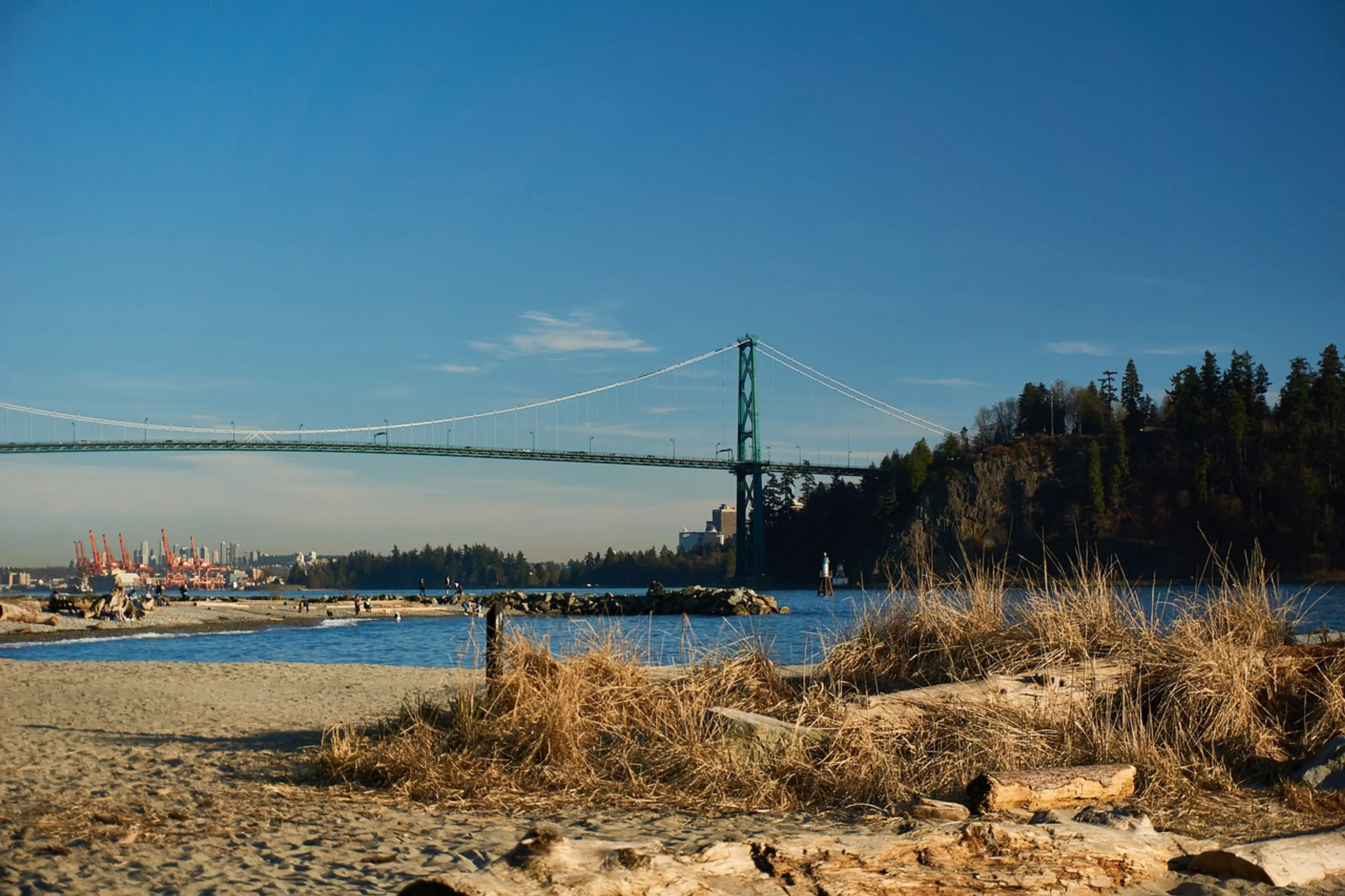 View of Lions Gate Bridge from Ambleside Park