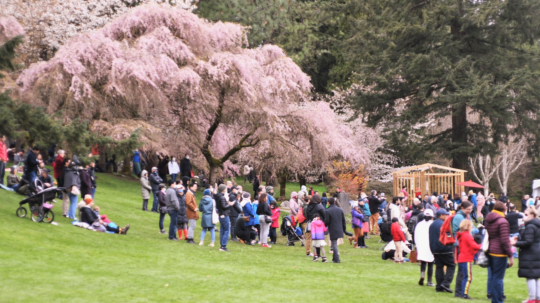 w-1799h-1012-ba0482-DSC_1055