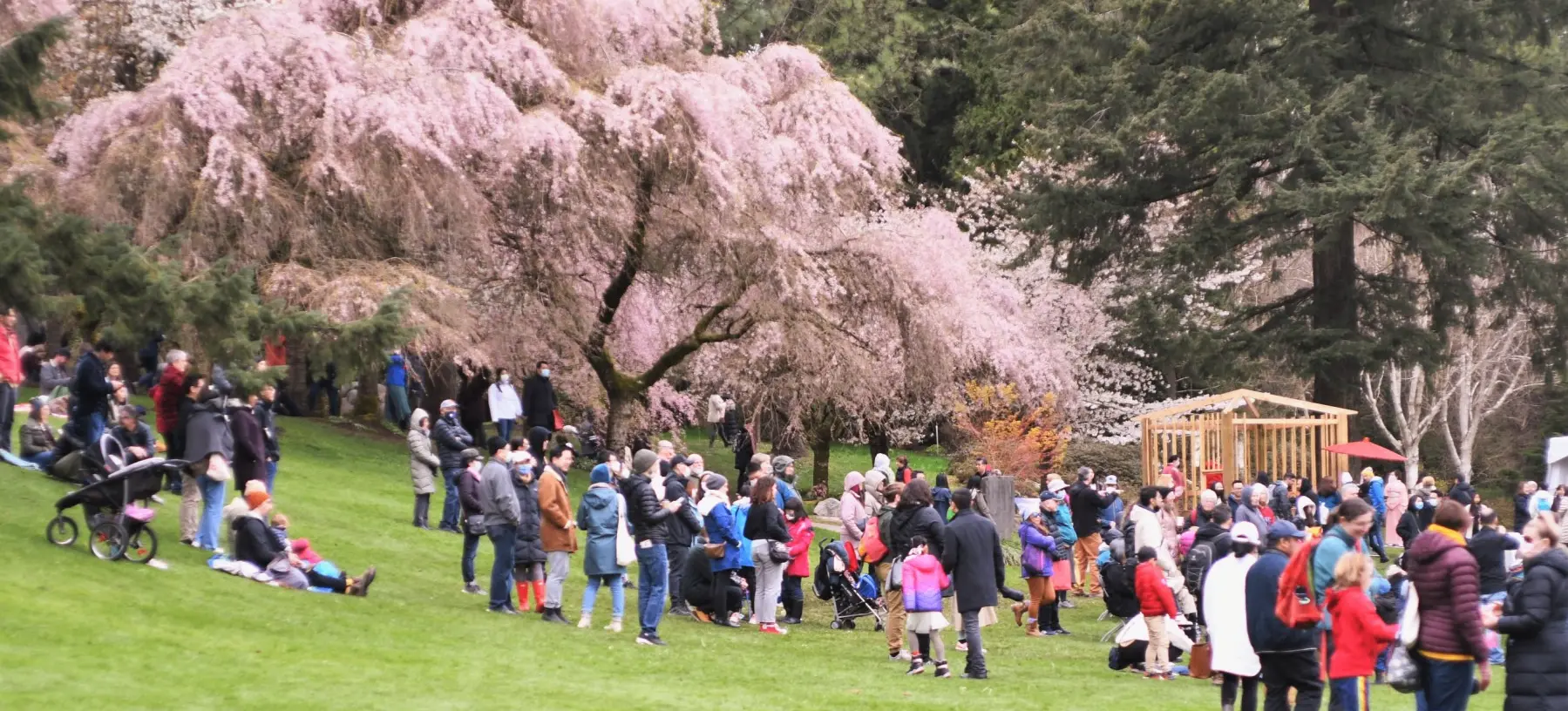 w-1799h-1012-ba0482-DSC_1055