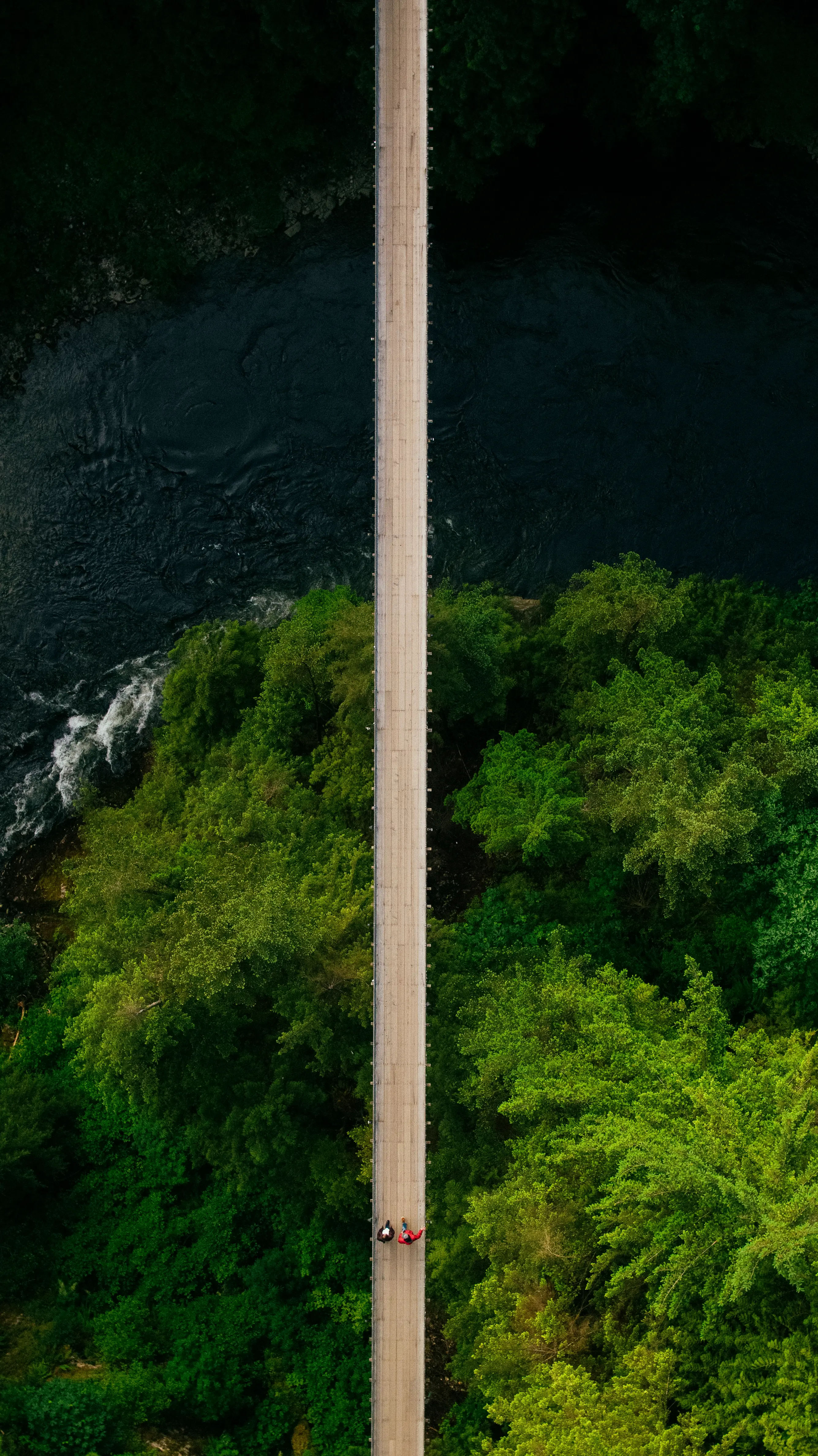 Aerial view of Capilano Suspension Bridge