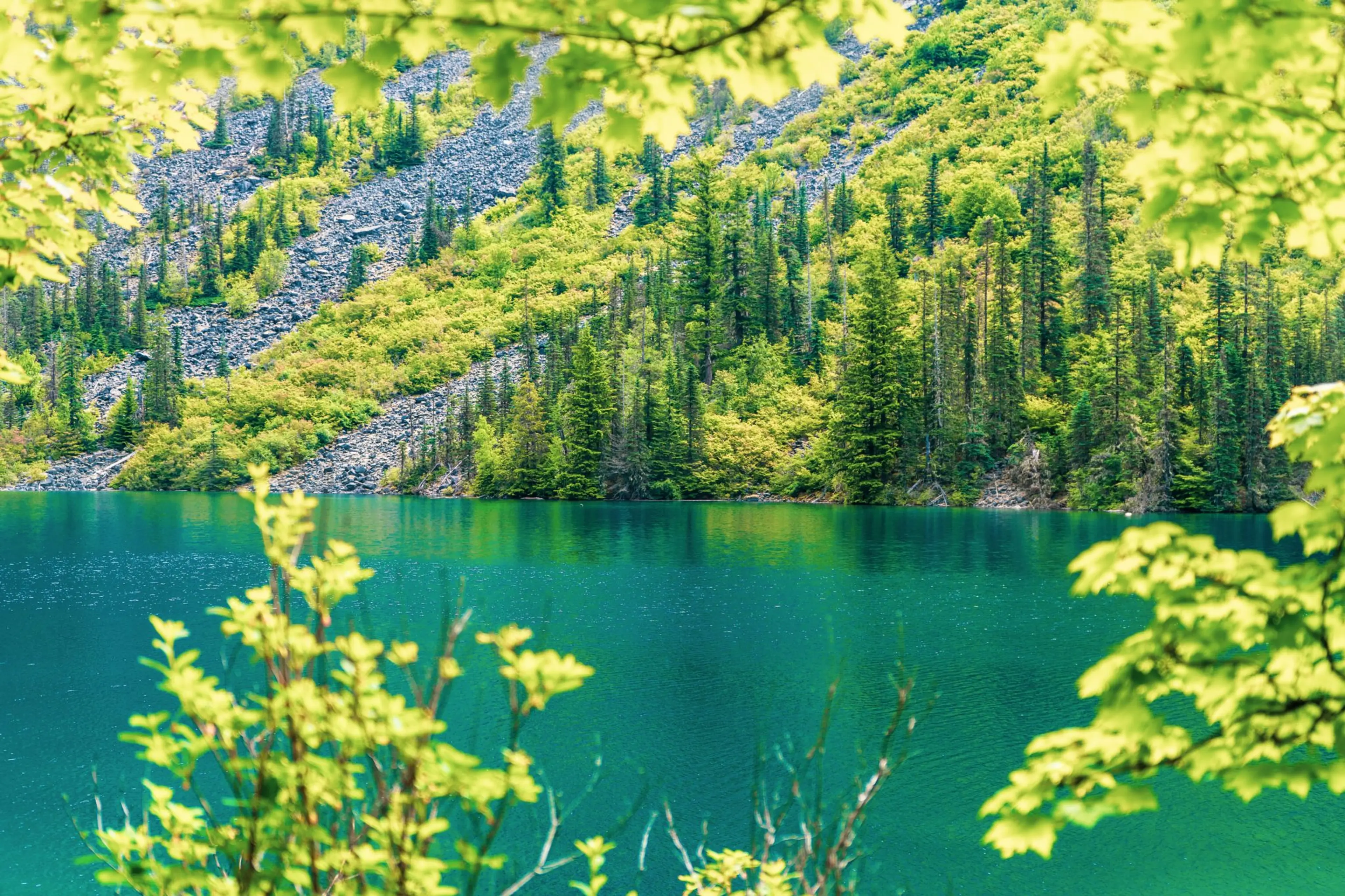 Easy End of Summer Hikes Around Vancouver