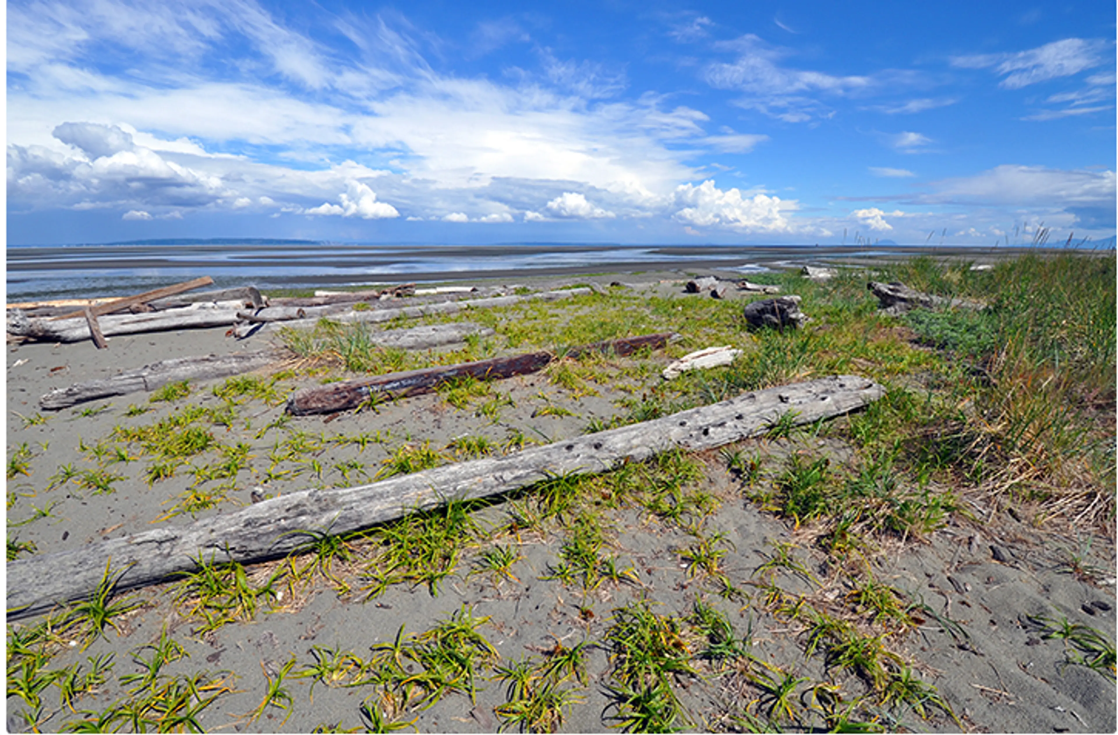 7 Things To Do at Boundary Bay Regional Park