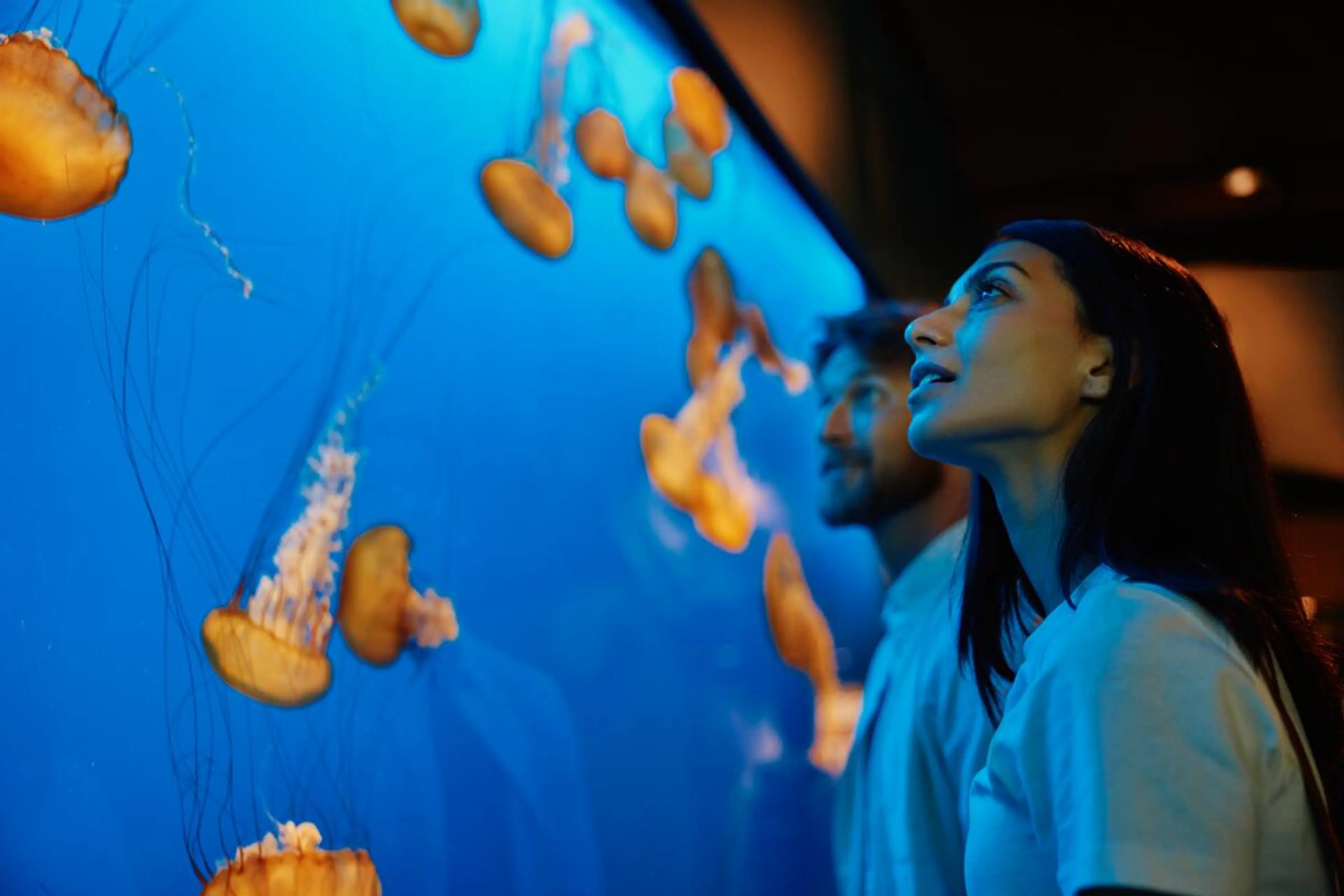 Two people standing in front the Jelly fish tank at the Vancouver Aquarium.