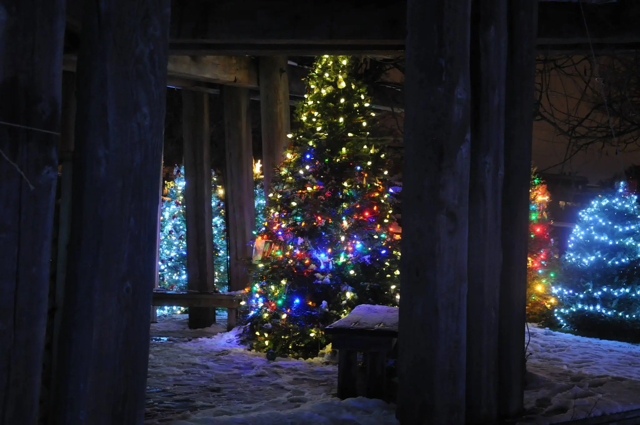 dundarave festival of lights 2017