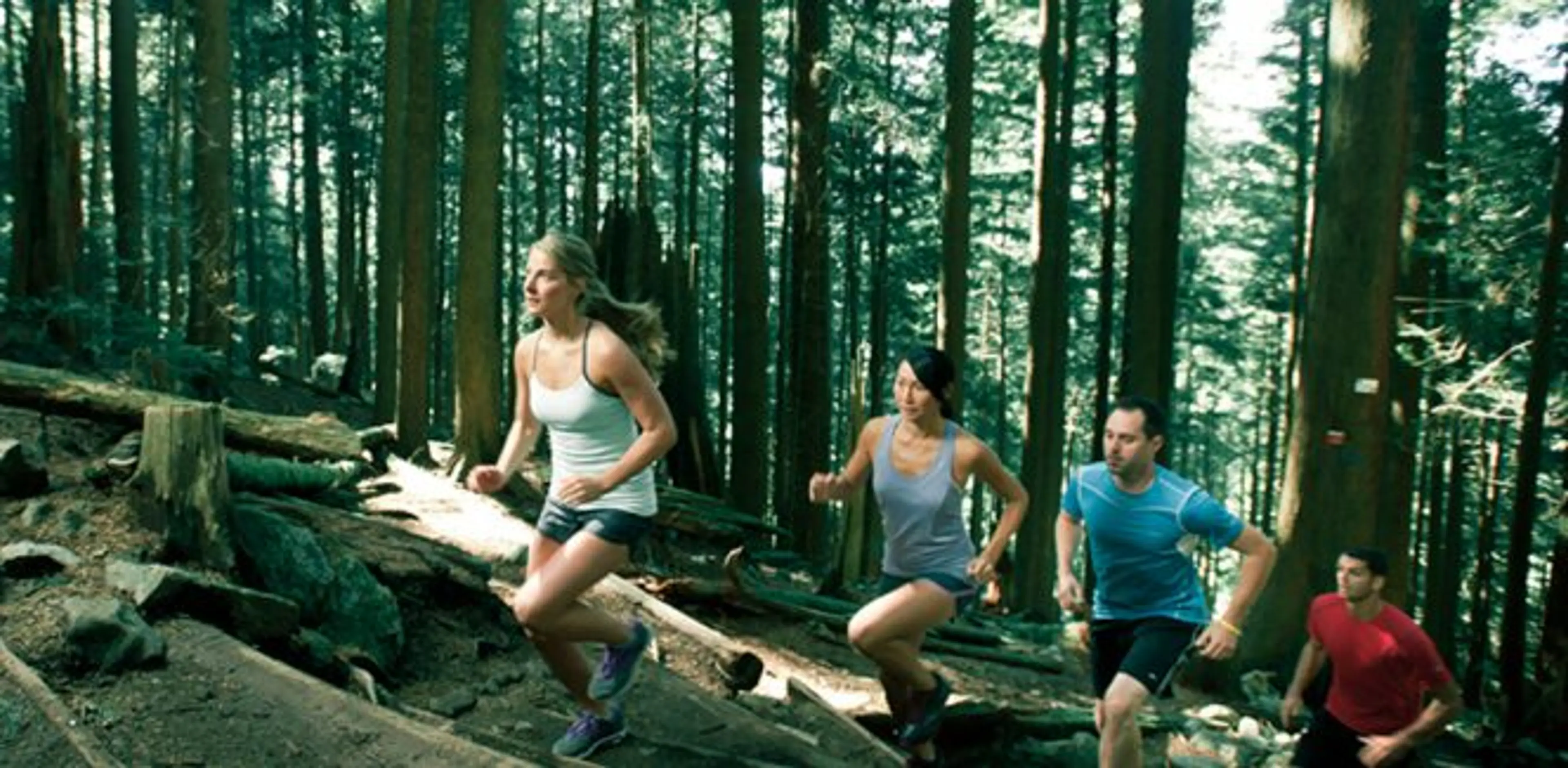 The Grouse Grind is Open for 2019 + 5 Reasons You Should Seek the Peak
