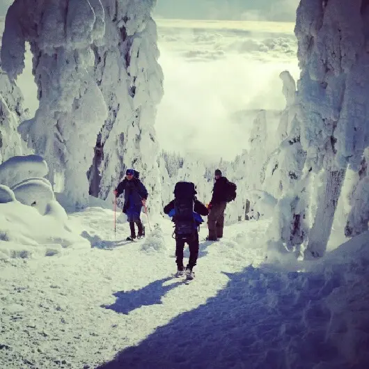 10 free things to do in Vancouver this January