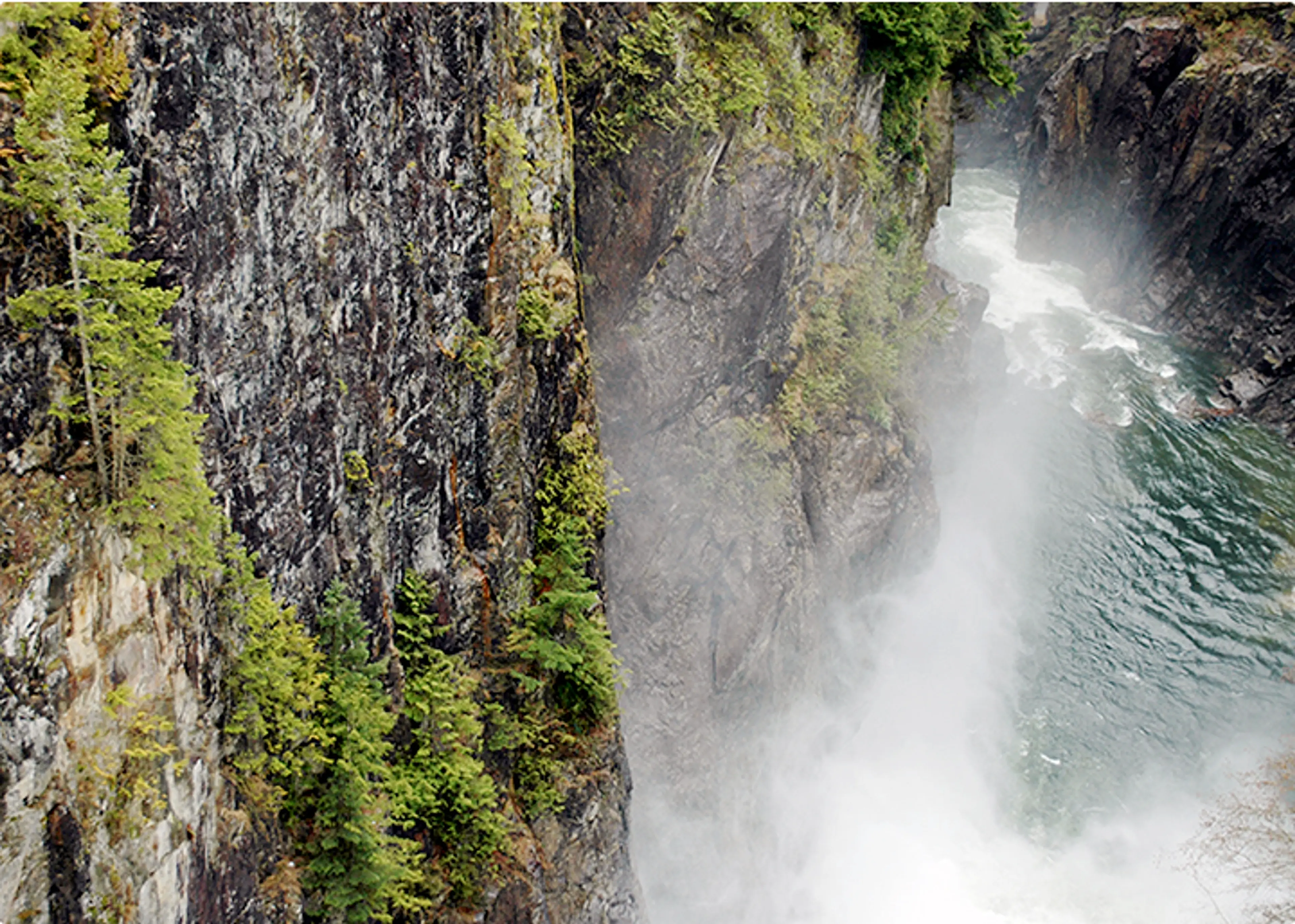 7 Things to Do at Capilano River Regional Park