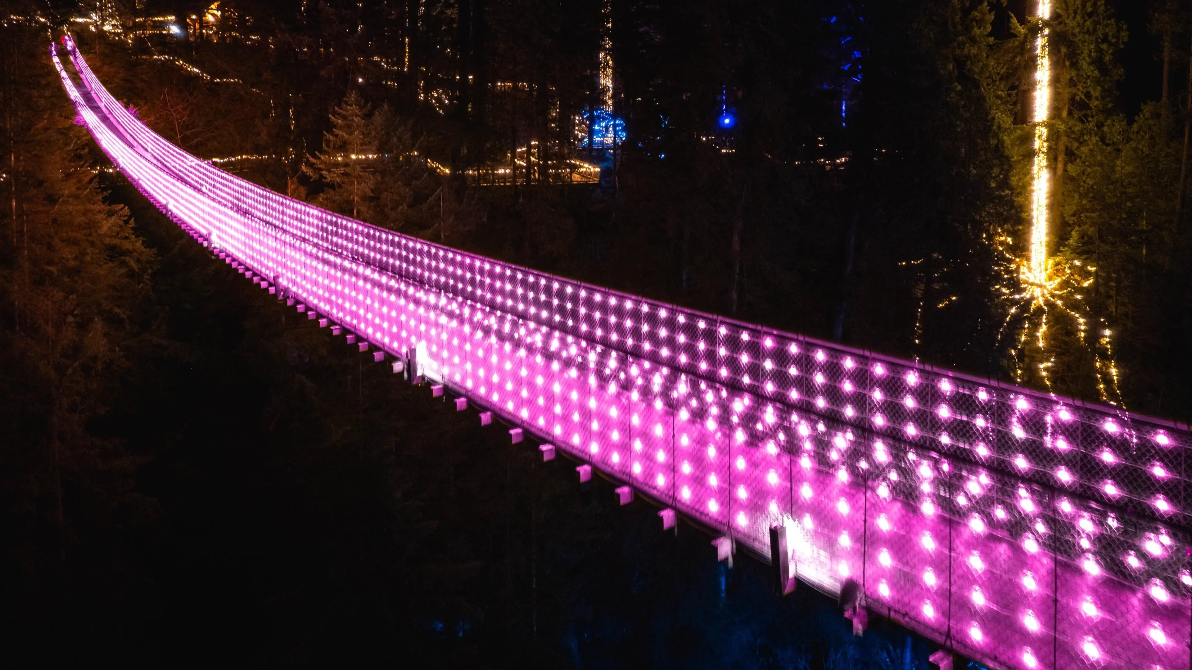 Love Lights on Capilano Suspension Bridge