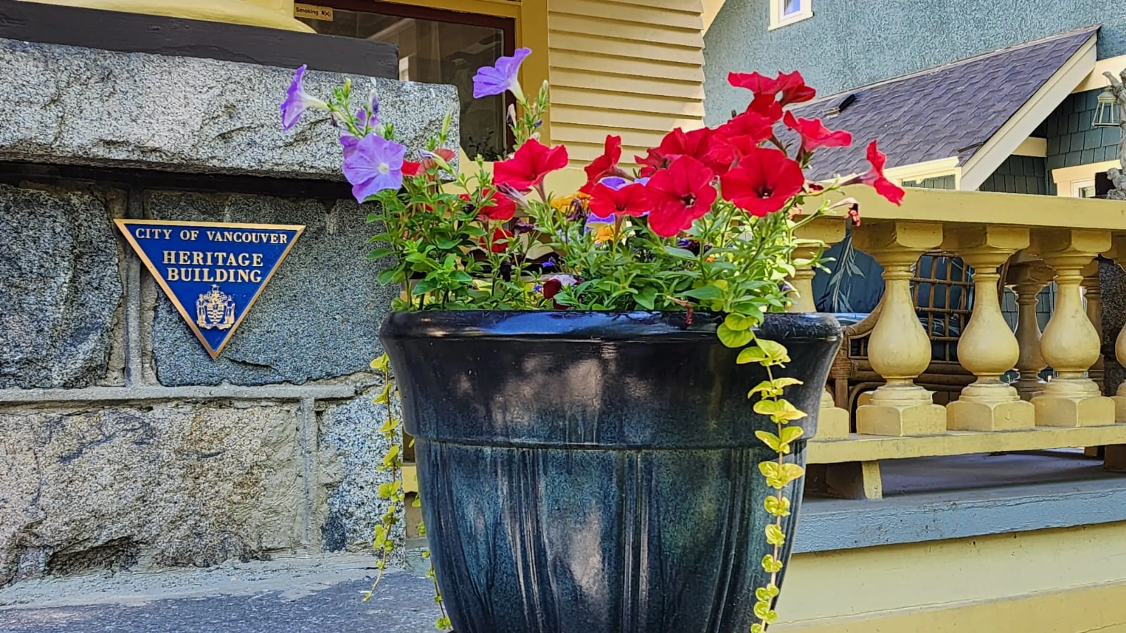 Windsor Guest House