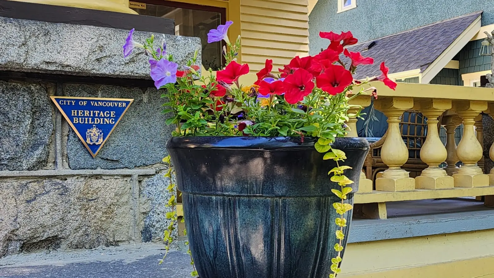 Windsor Guest House