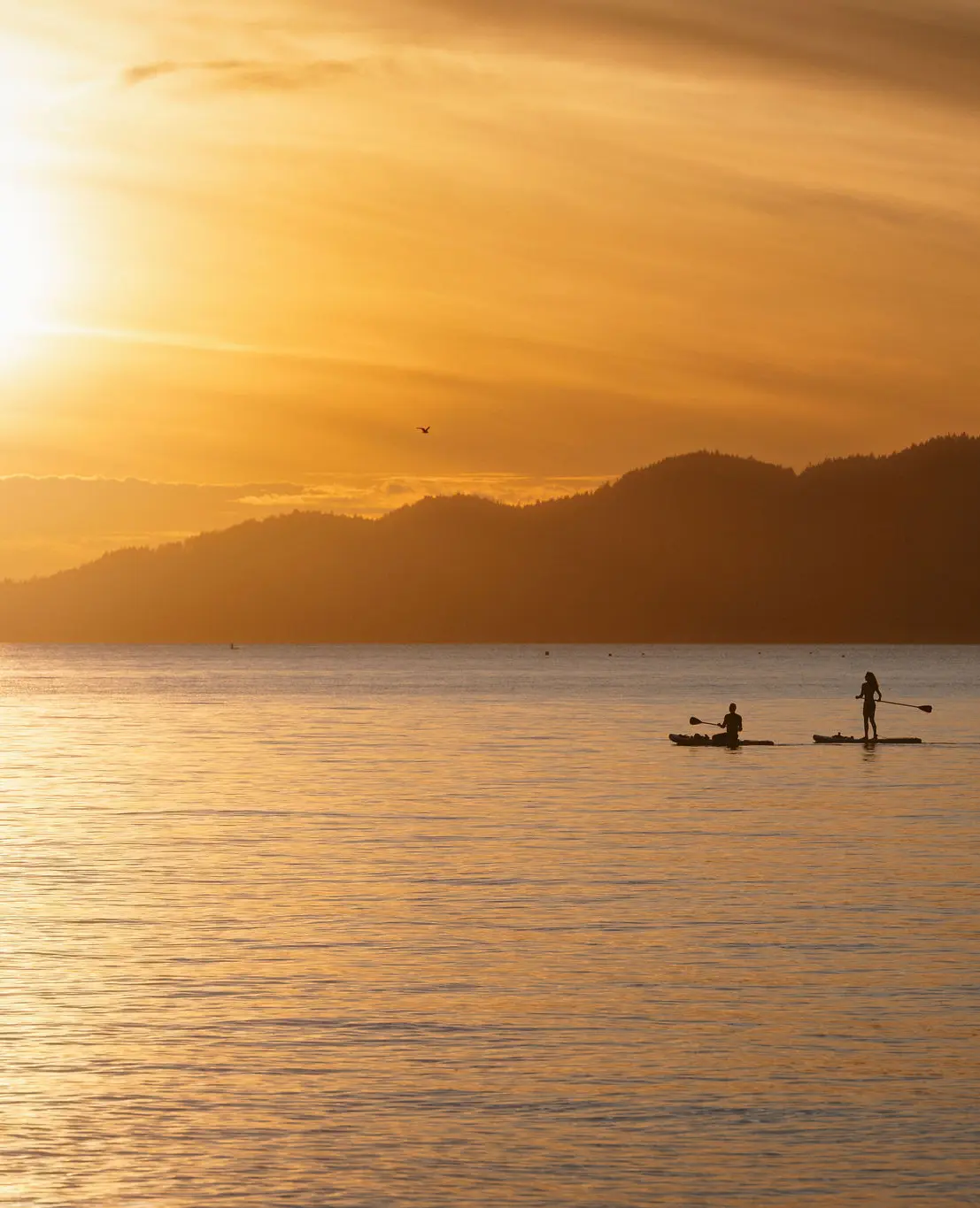 Paddleboarding at Jericho Beach