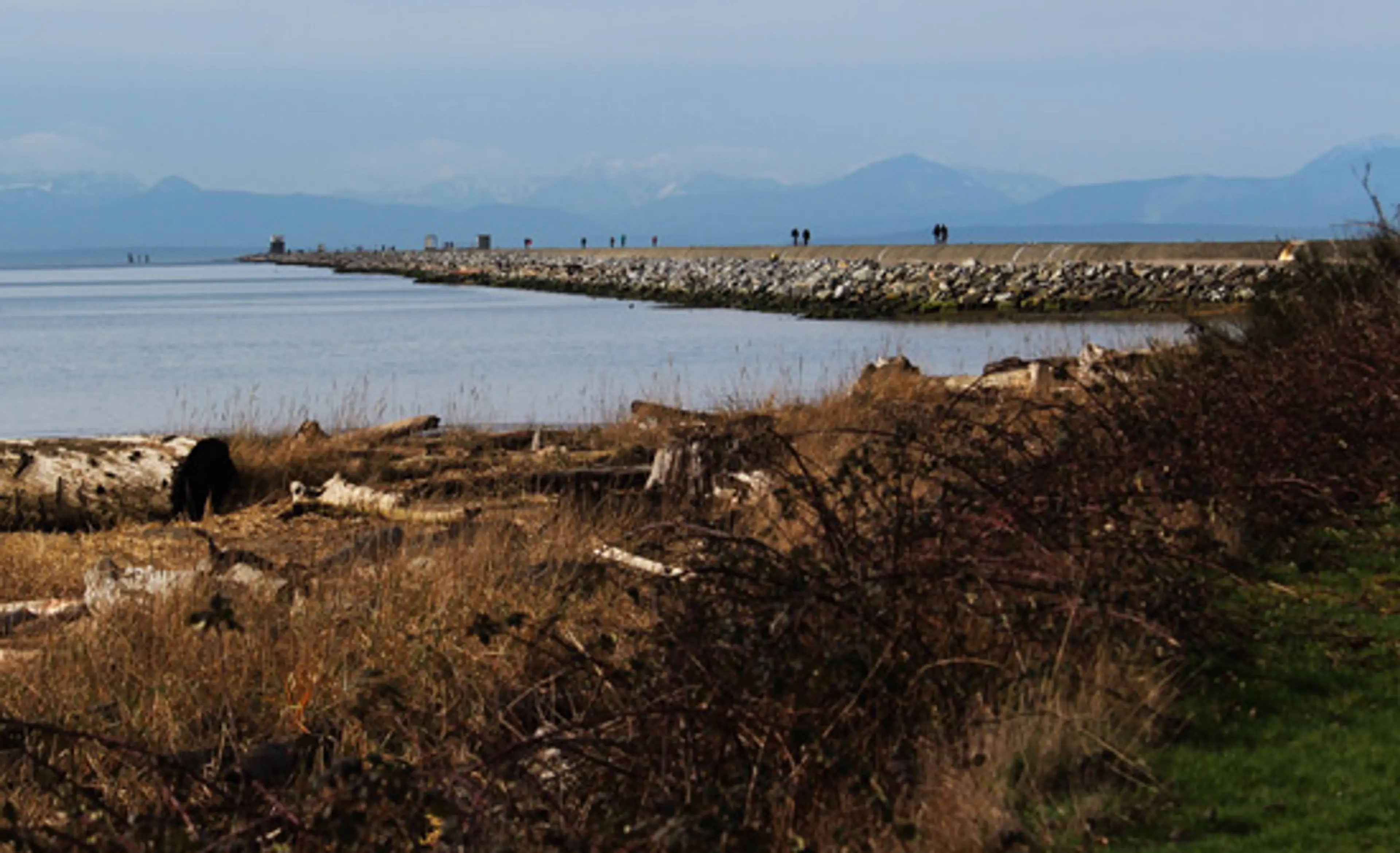 Discover-Outdoors-Iona-Beach5