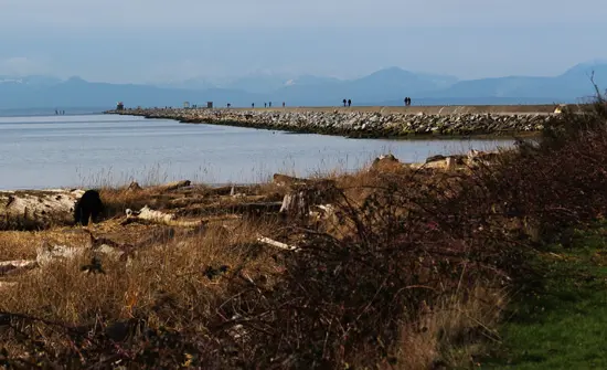 Discover-Outdoors-Iona-Beach5