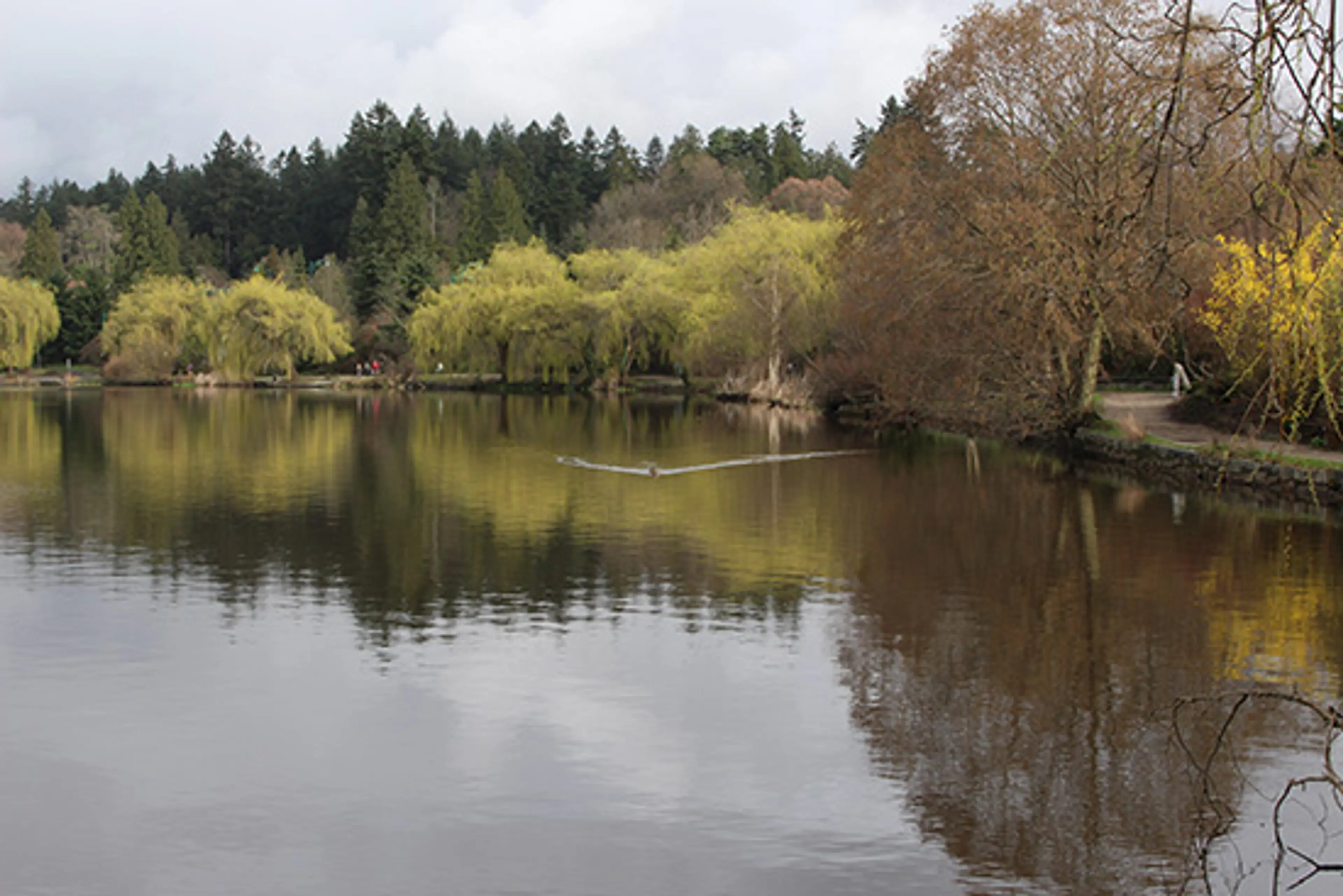 Connecting to Nature – Stanley Park Nature House