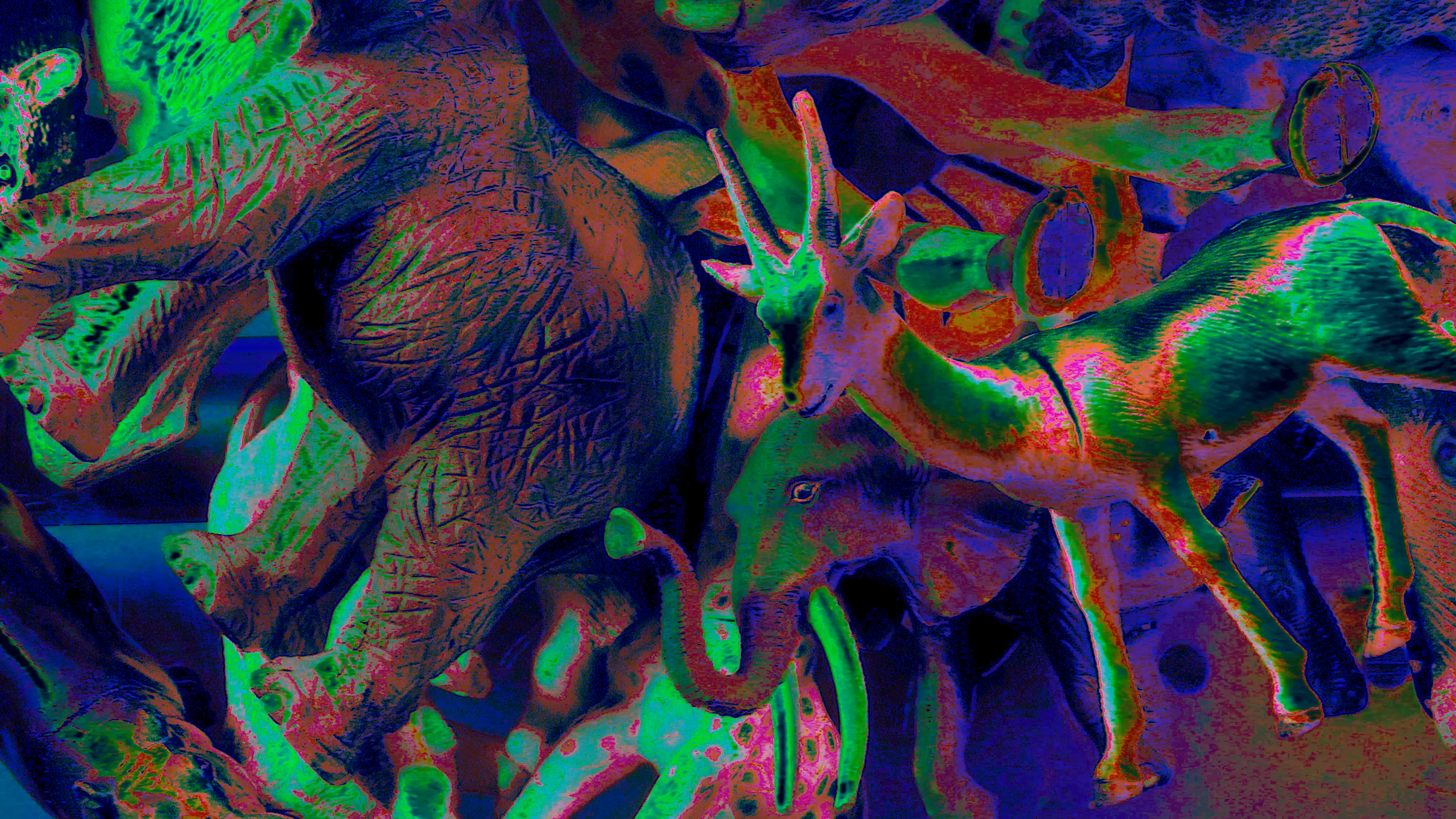 LocoMotoArt presents S.P.A.C.E = Spirits, People, Animals, Creatures and Echoes