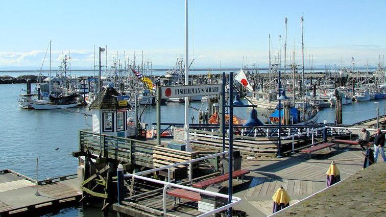 Shady Island Seafood Bar & Grill