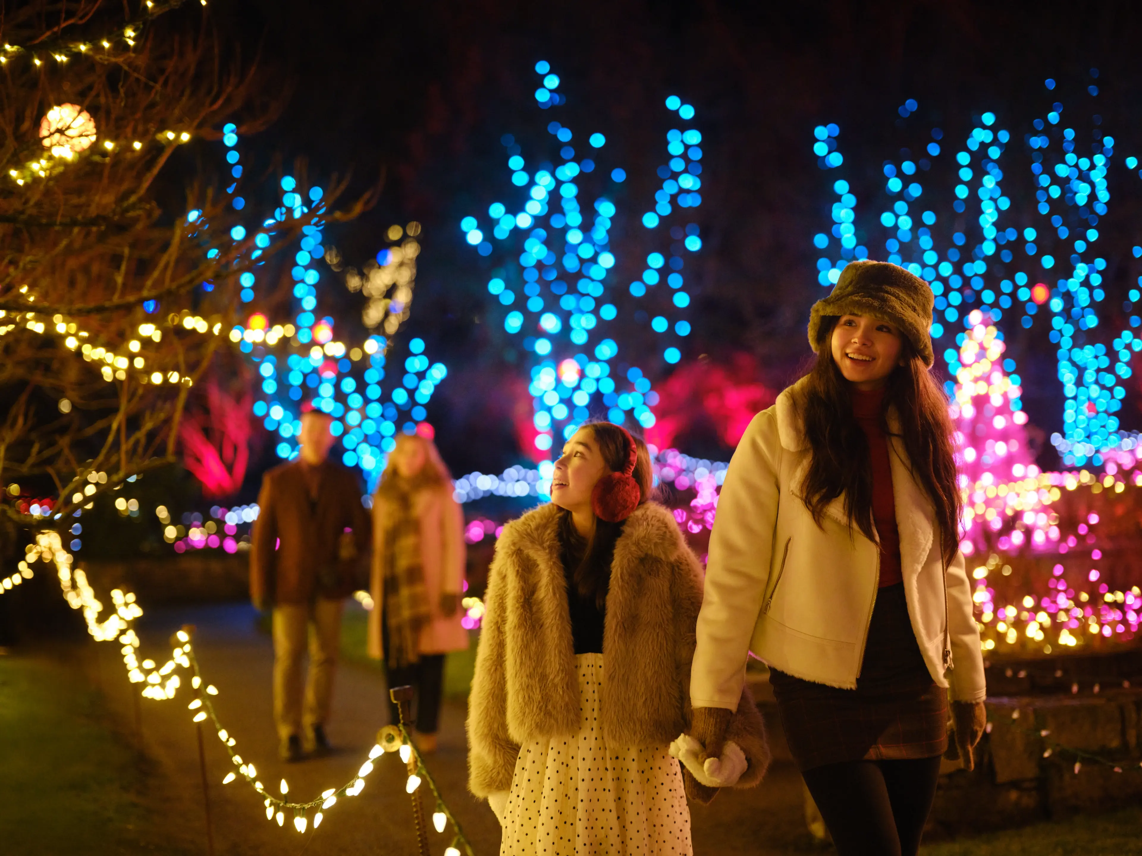 Christmas Lights in Vancouver
