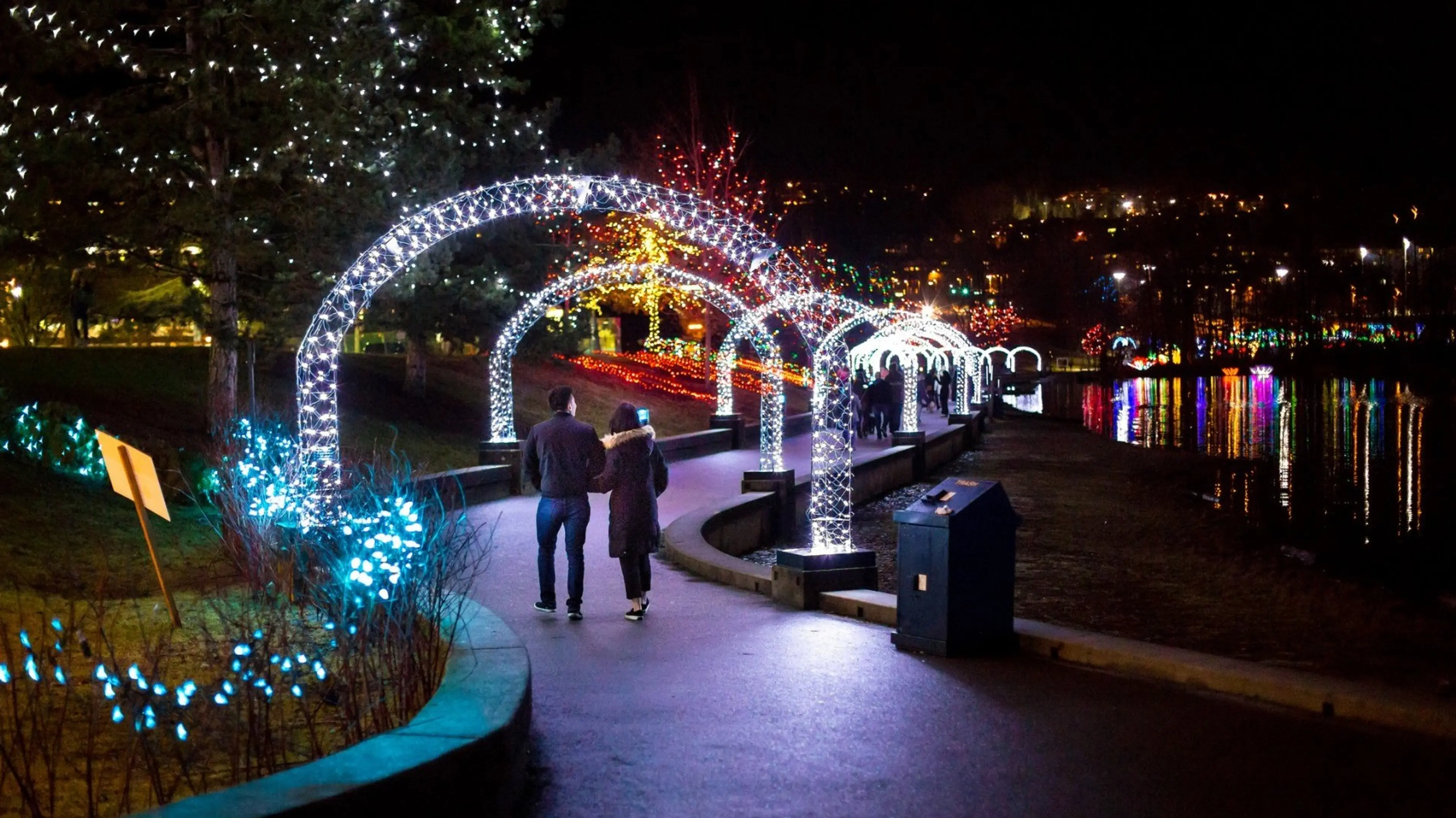 w-1799h-1012-0cef83-lights