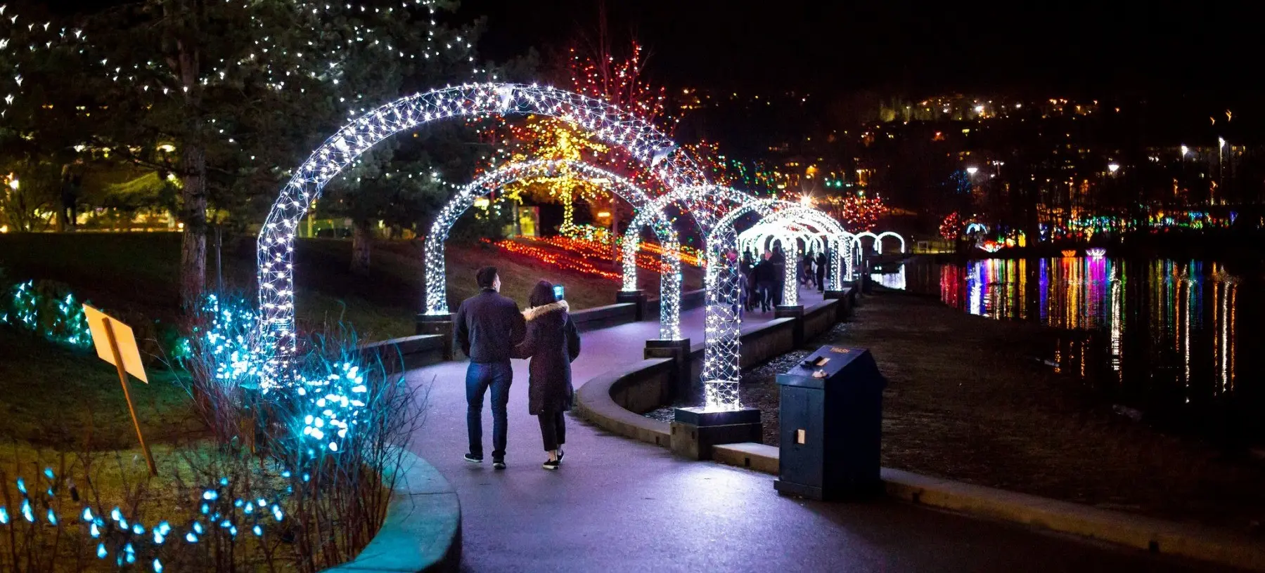 w-1799h-1012-0cef83-lights