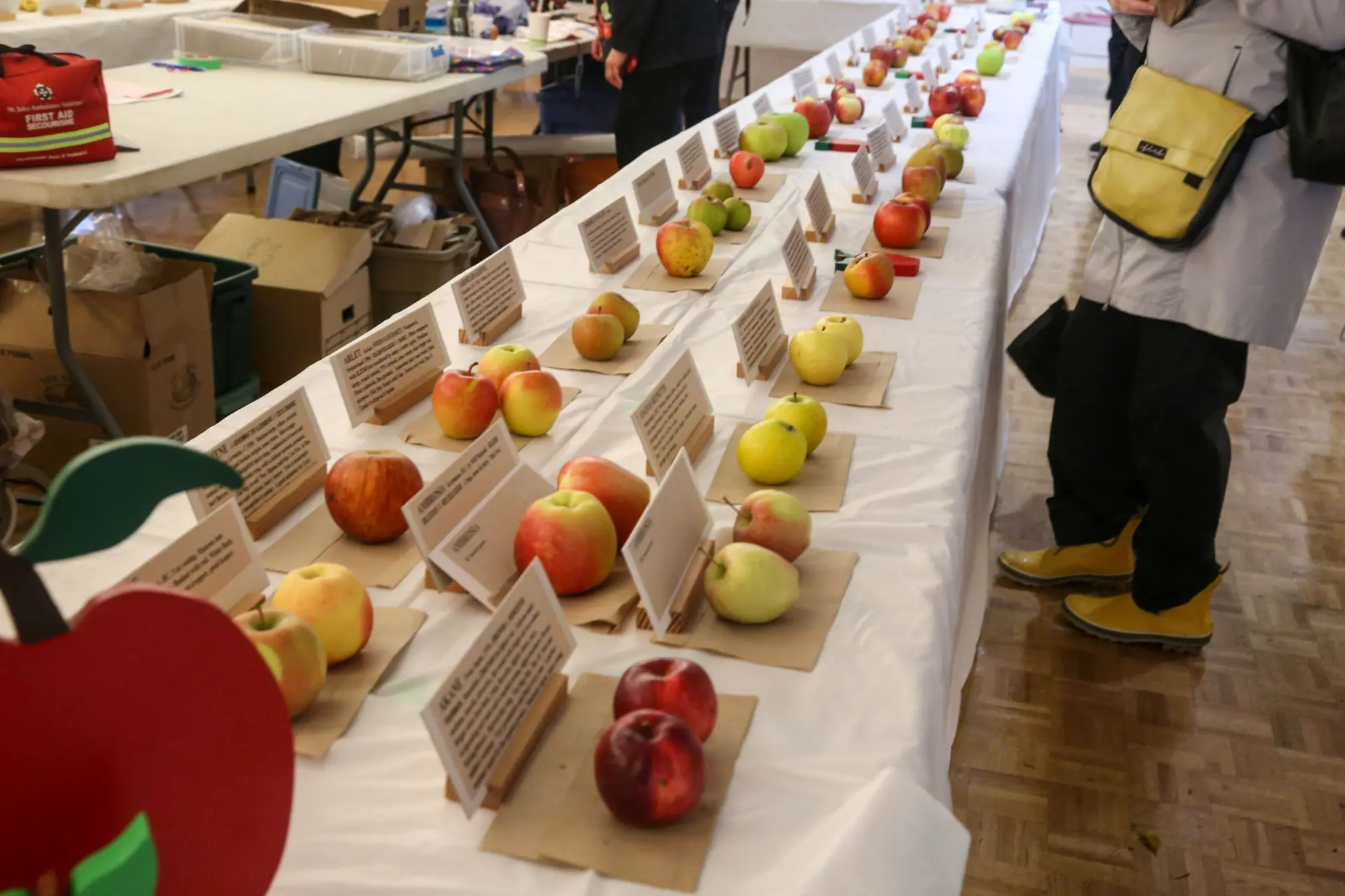 Long table with rows of various apples and informational cards on display at an indoor event.