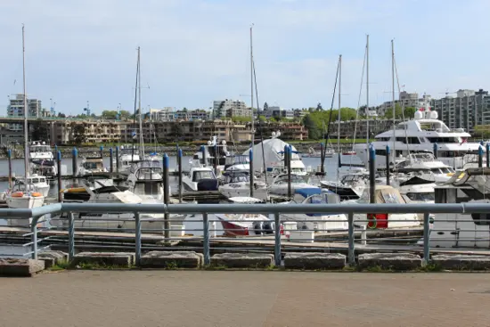 Photo Credit: Tara Lee