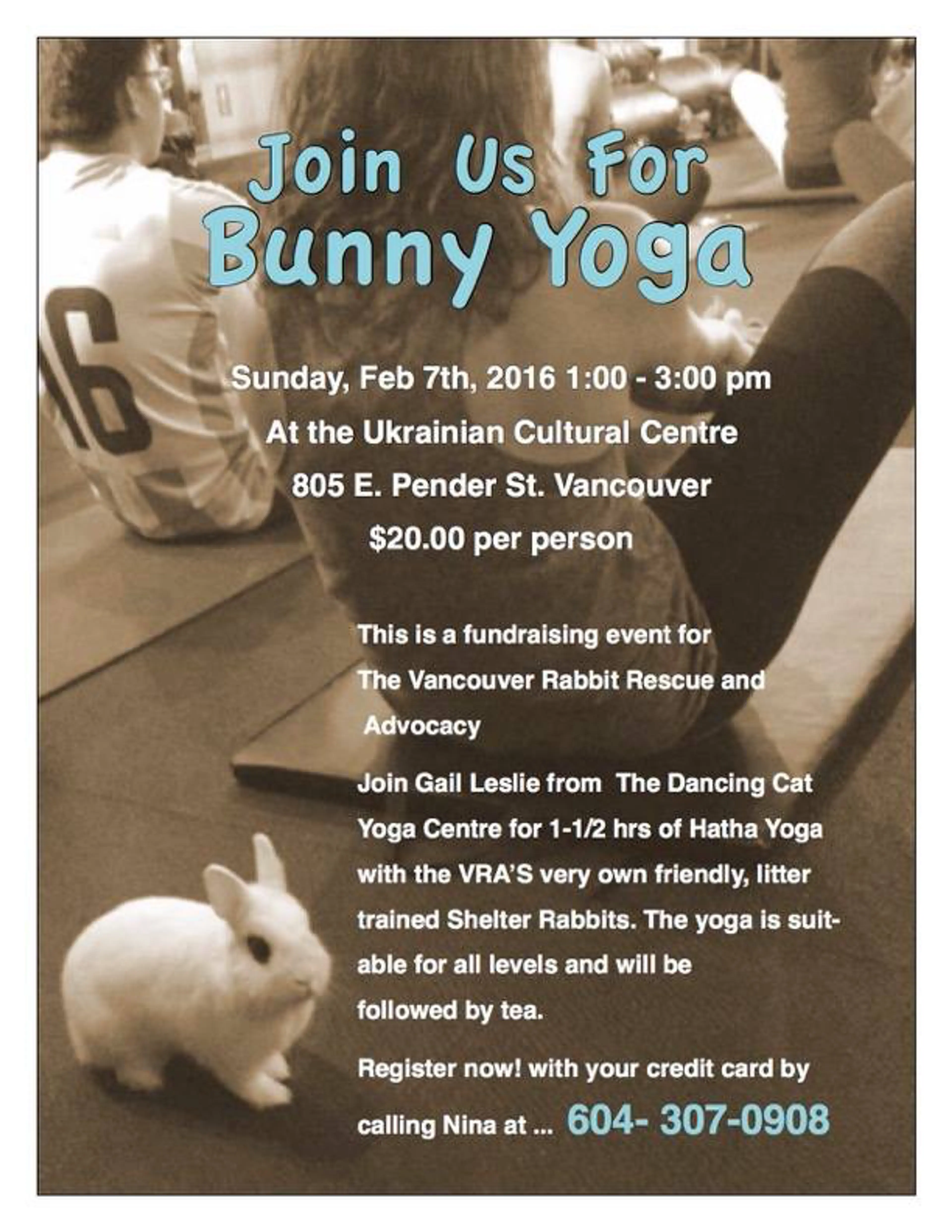 bunny yoga details.