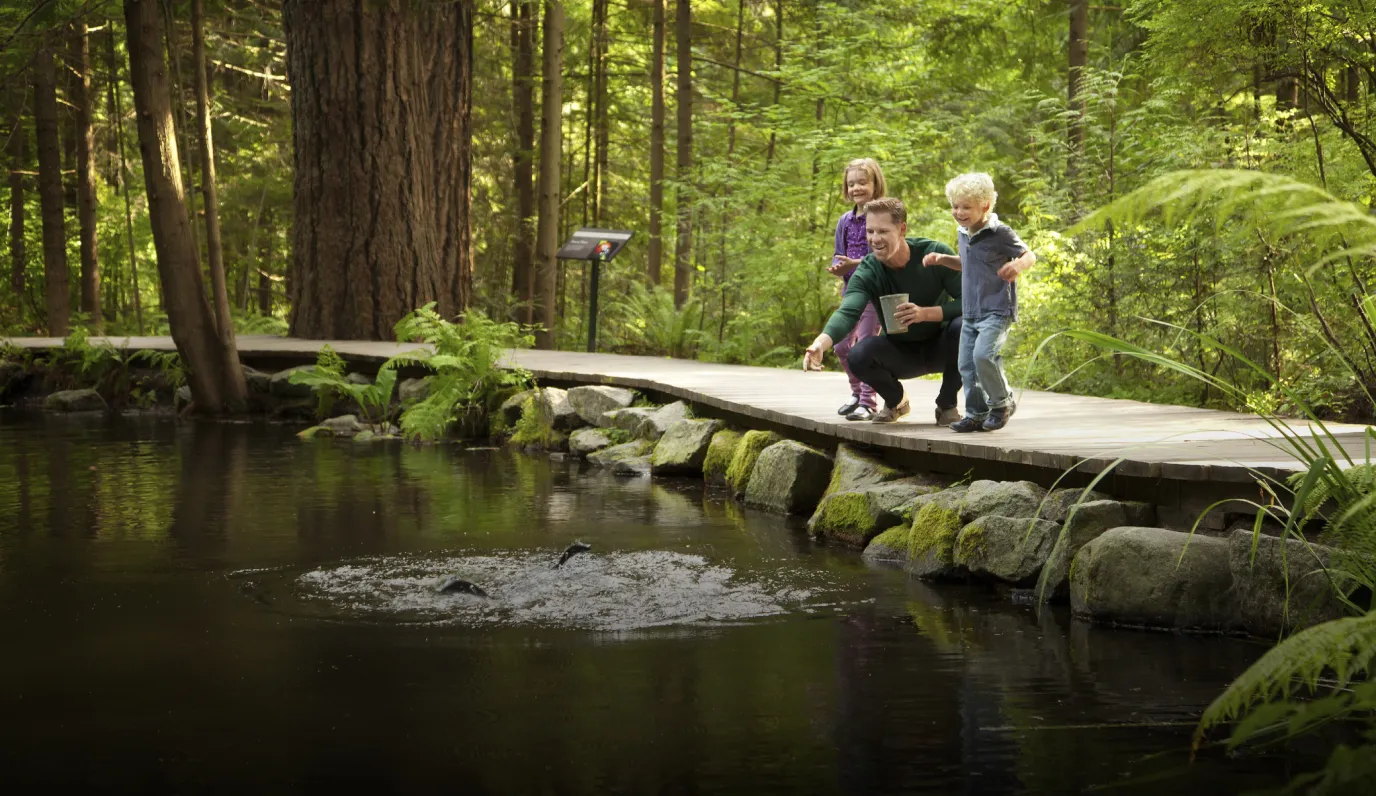 Destination Vancouver image