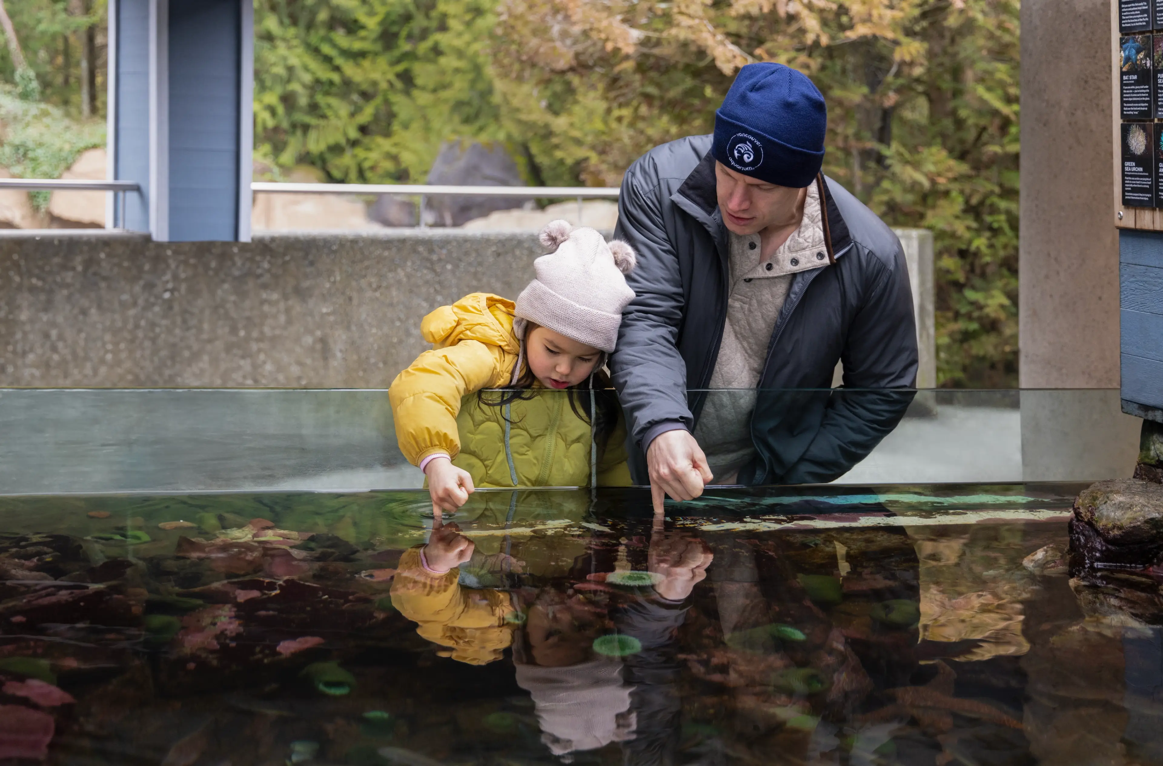 A father and daughter explore the touch tank at the Vancouver Aquarium. 