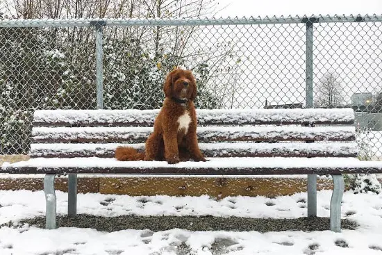 photo: Carolyn McAuley