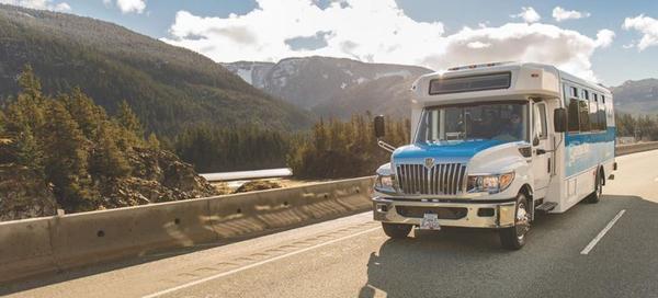 Landsea Tours & Adventures on tour in Stanley Park