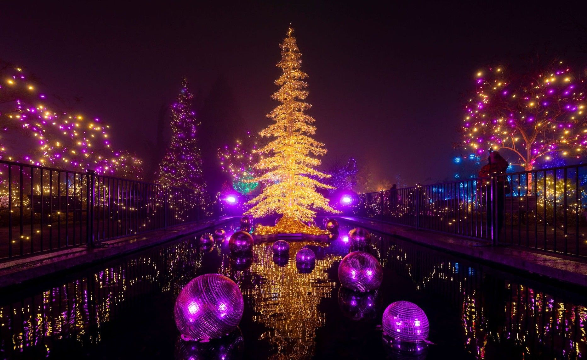 w-1864h-1145-6a7090-COV-VanDusen-FOL-2024-Extras-1066