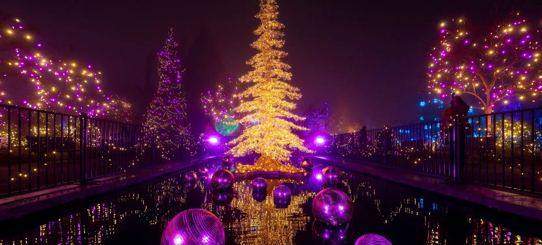 w-1864h-1145-6a7090-COV-VanDusen-FOL-2024-Extras-1066