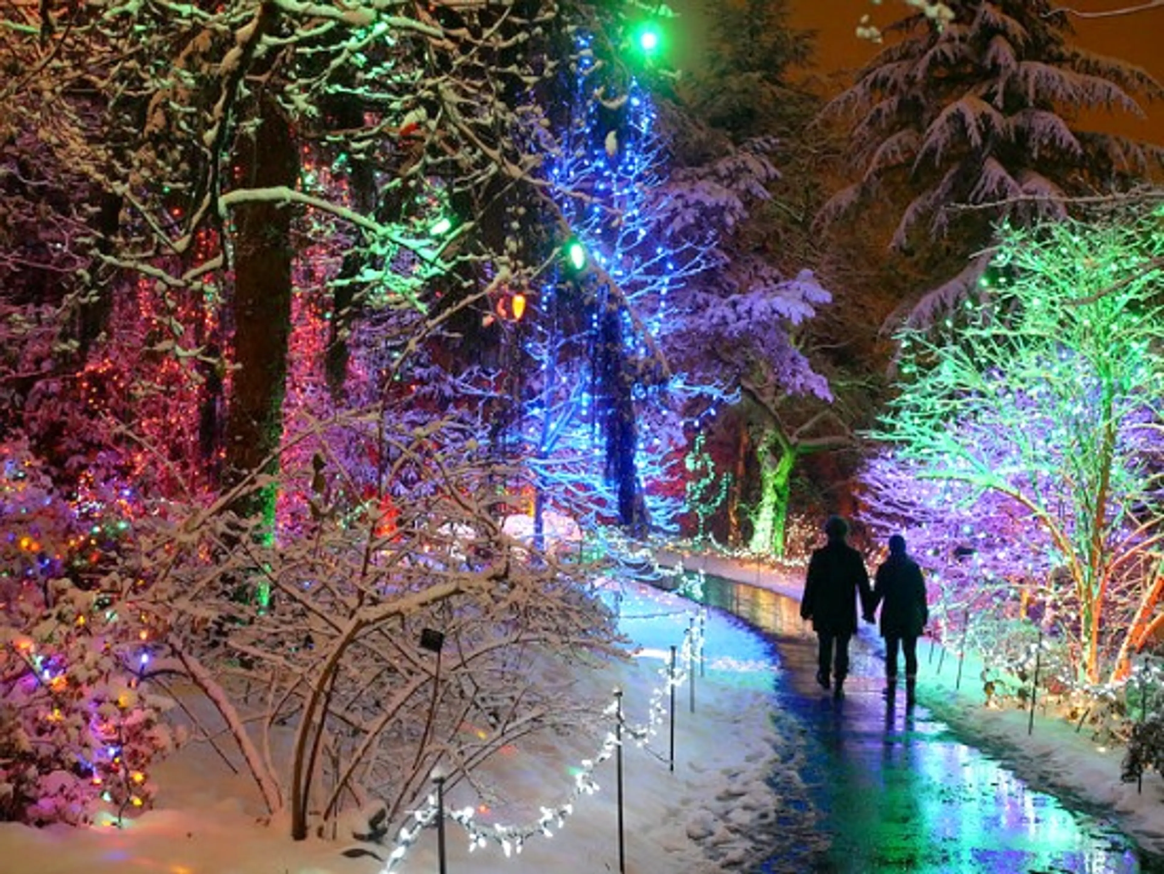 Kids In Vancouver: 5 Places To Gaze at the Glowing Holiday Lights