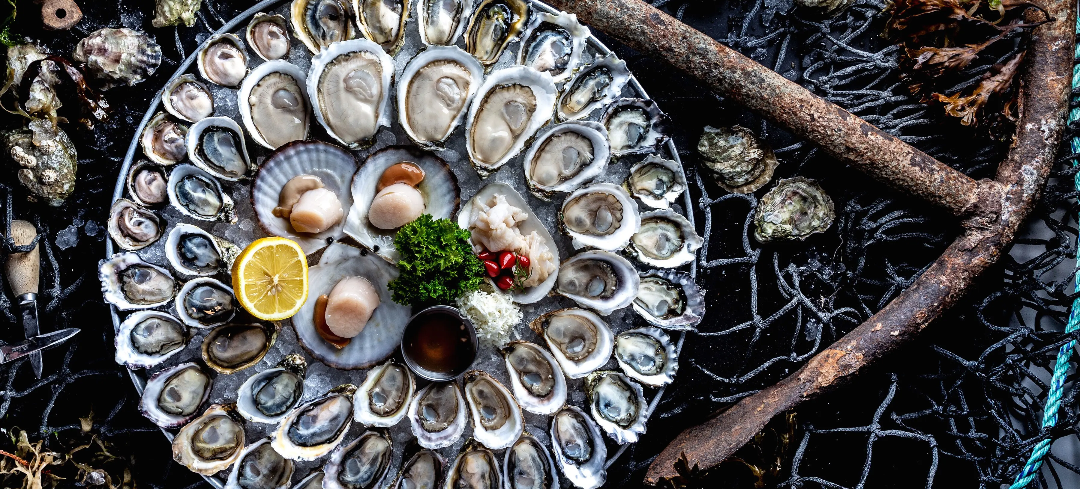 oyster