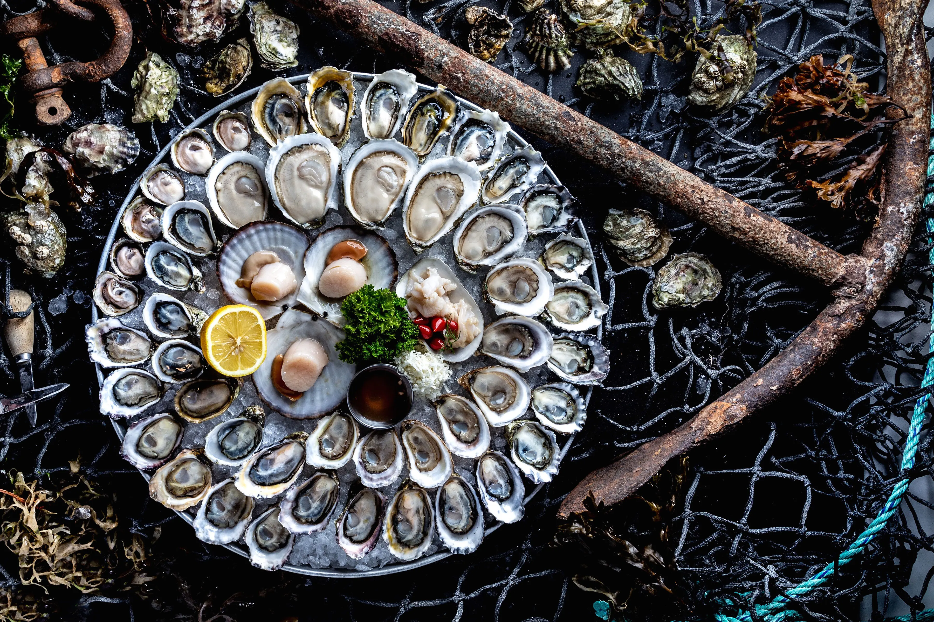 oyster