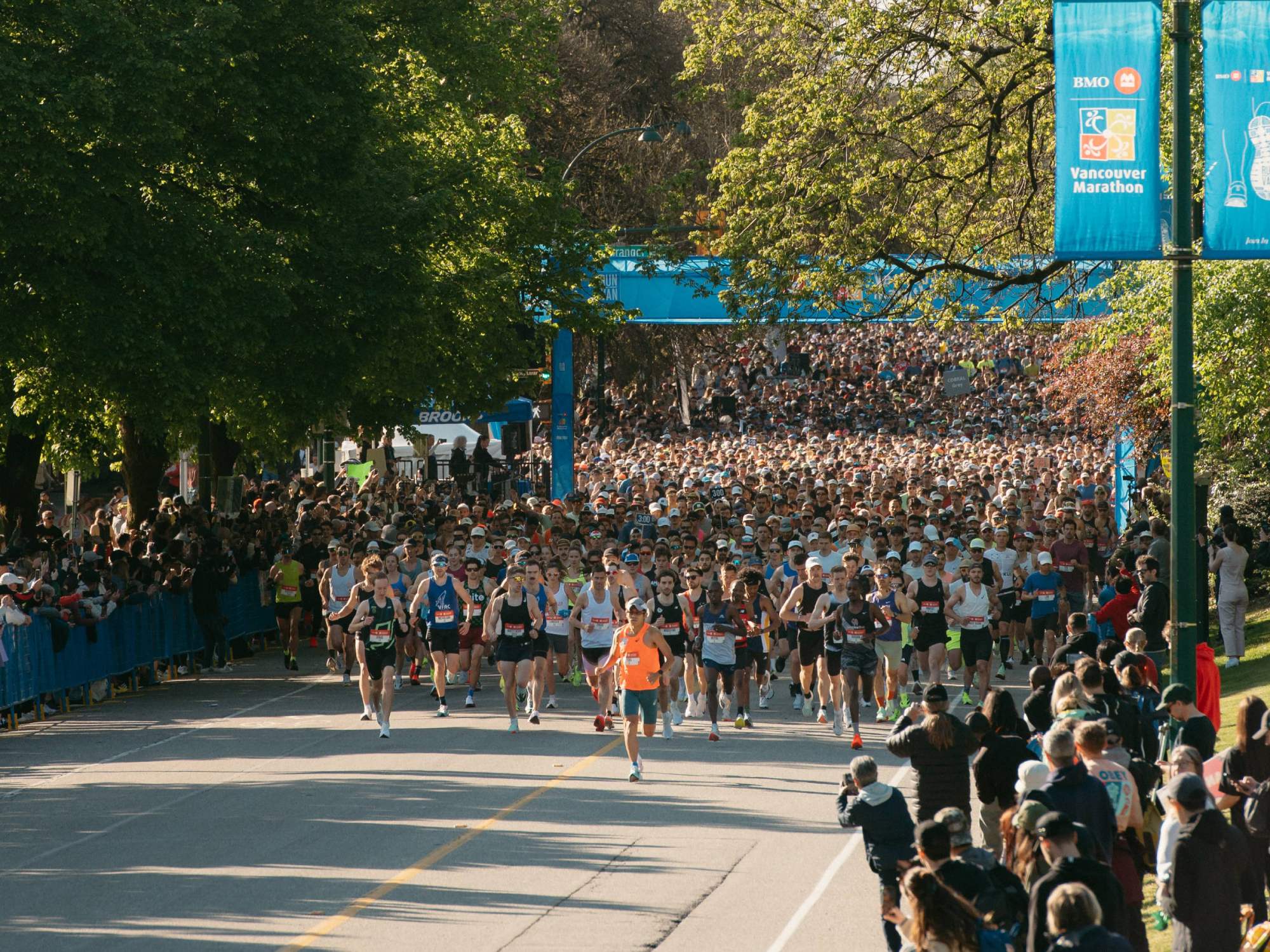Large group of runners starting the Vancouver Marathon on a tree-lined street with spectators on both sides.