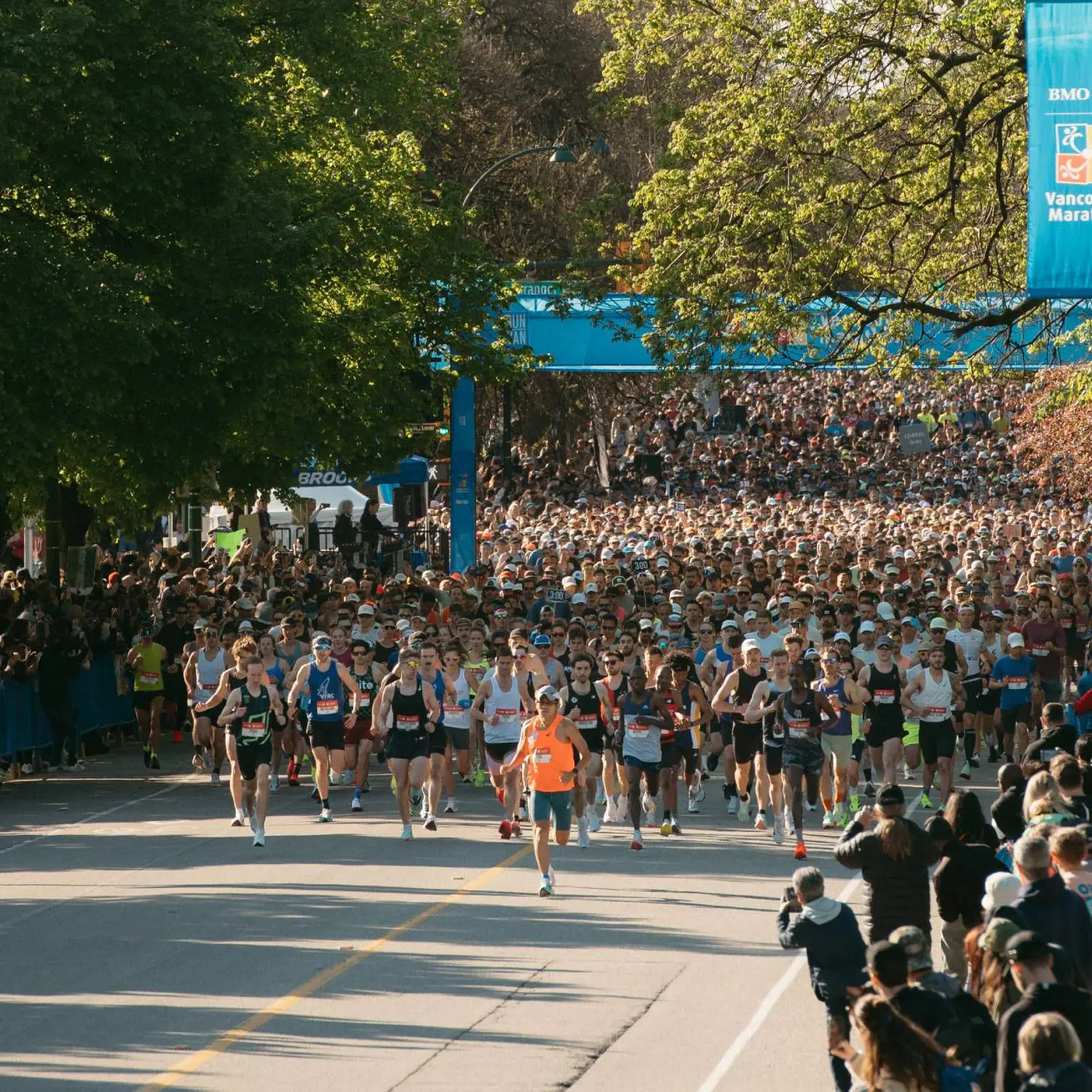 Large group of runners starting the Vancouver Marathon on a tree-lined street with spectators on both sides.
