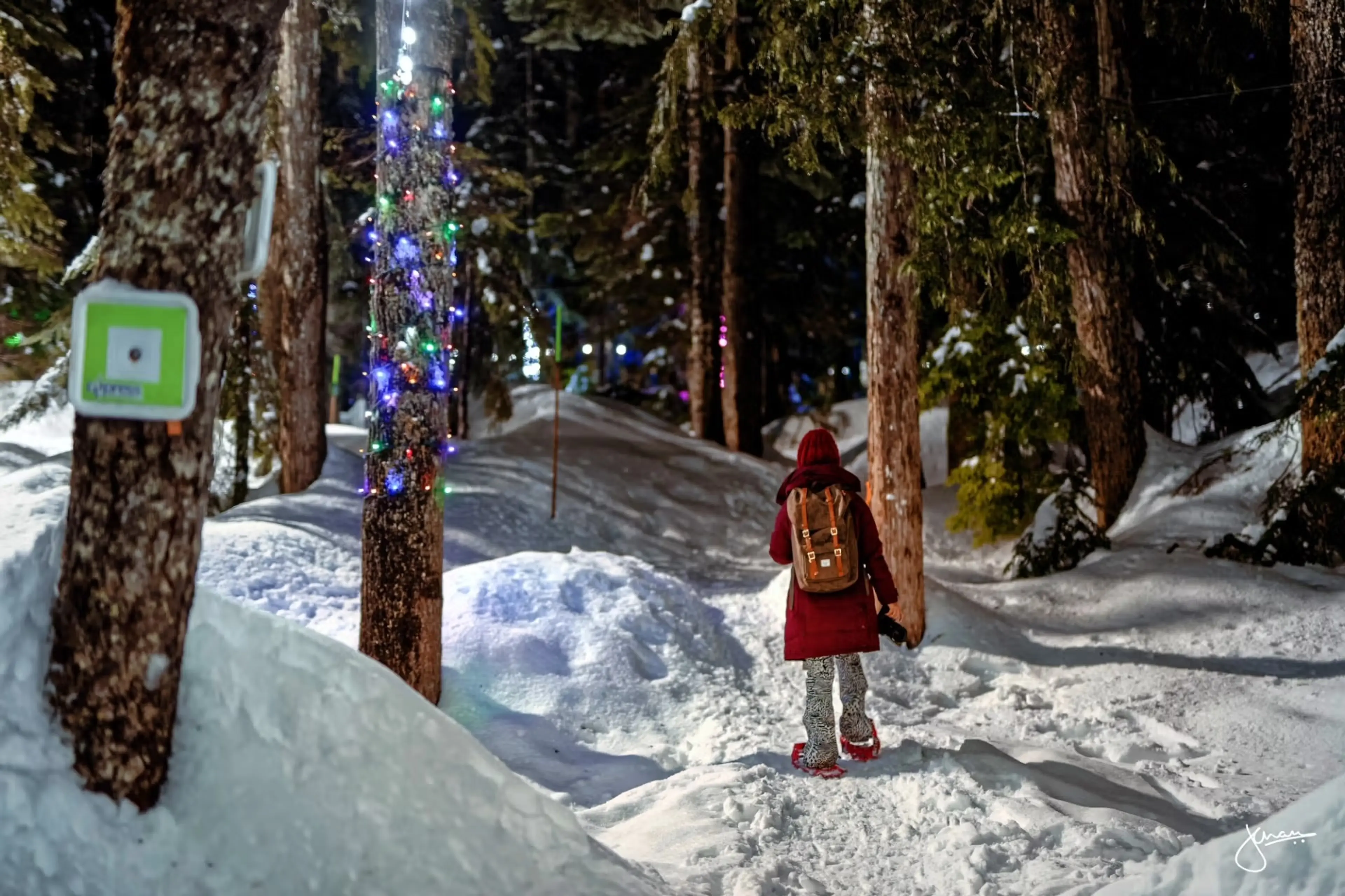 A person wearing a backpack snowshoes through the forest at night past trees lit up with holiday lights at the Lights to the Lodge experience at Cypress Mountain.