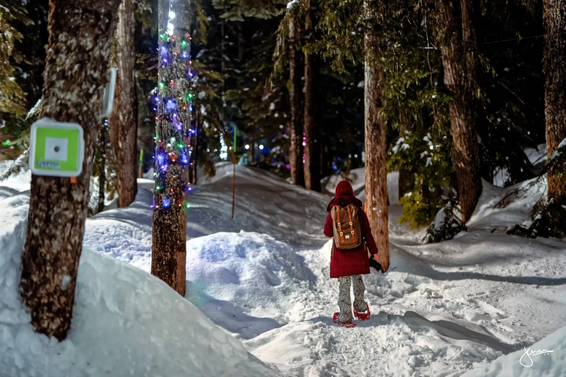 A person wearing a backpack snowshoes through the forest at night past trees lit up with holiday lights at the Lights to the Lodge experience at Cypress Mountain.