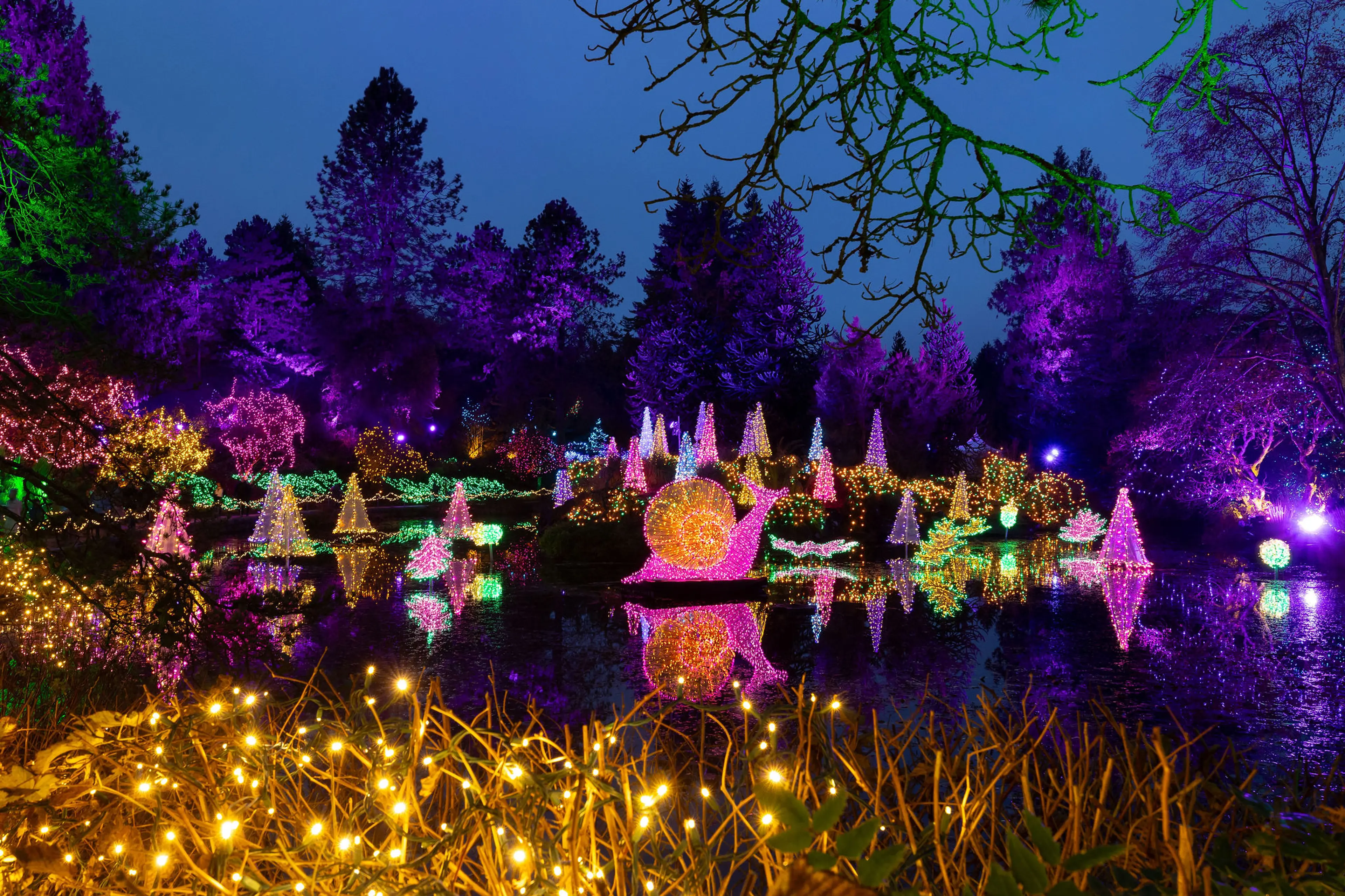Lights display at the VanDusen Botanical Garden Festival of Lights. 