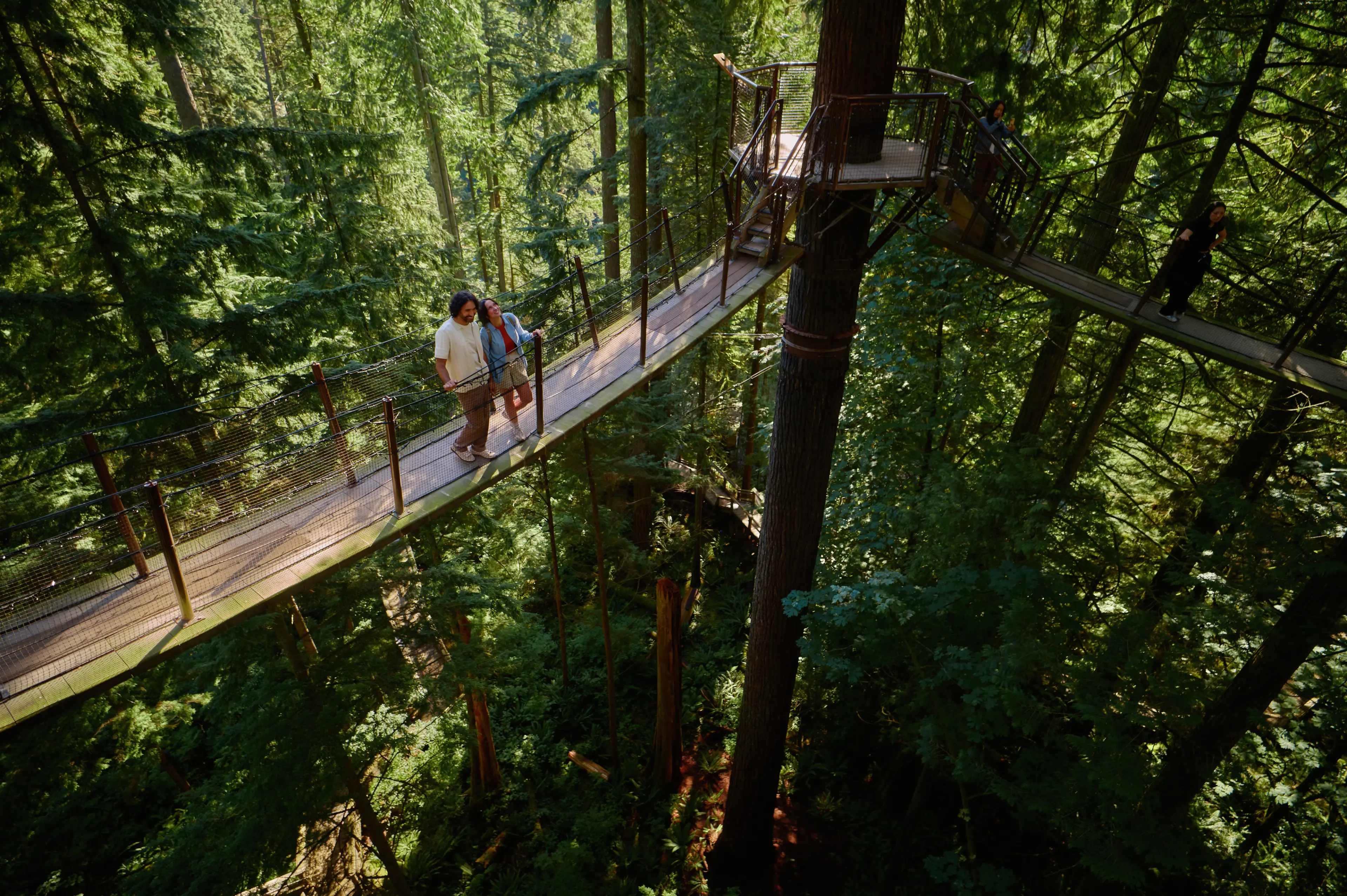 Two people walking on a suspended wooden canopy walkway high above a dense forest with two other people visible on the walkway in the background.