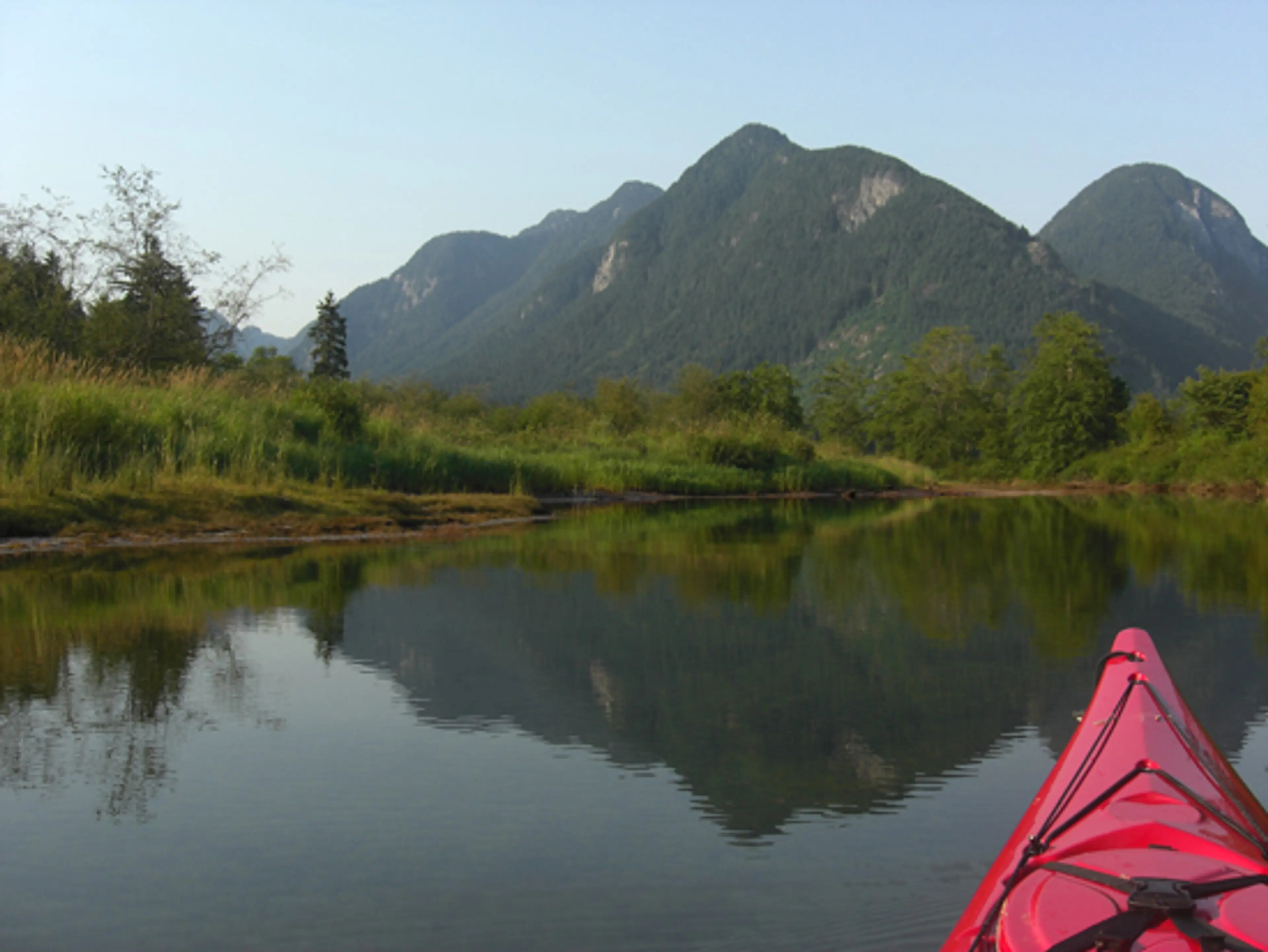 Up a Creek with a Paddle – Canoeing Widgeon Creek, Pitt Meadows