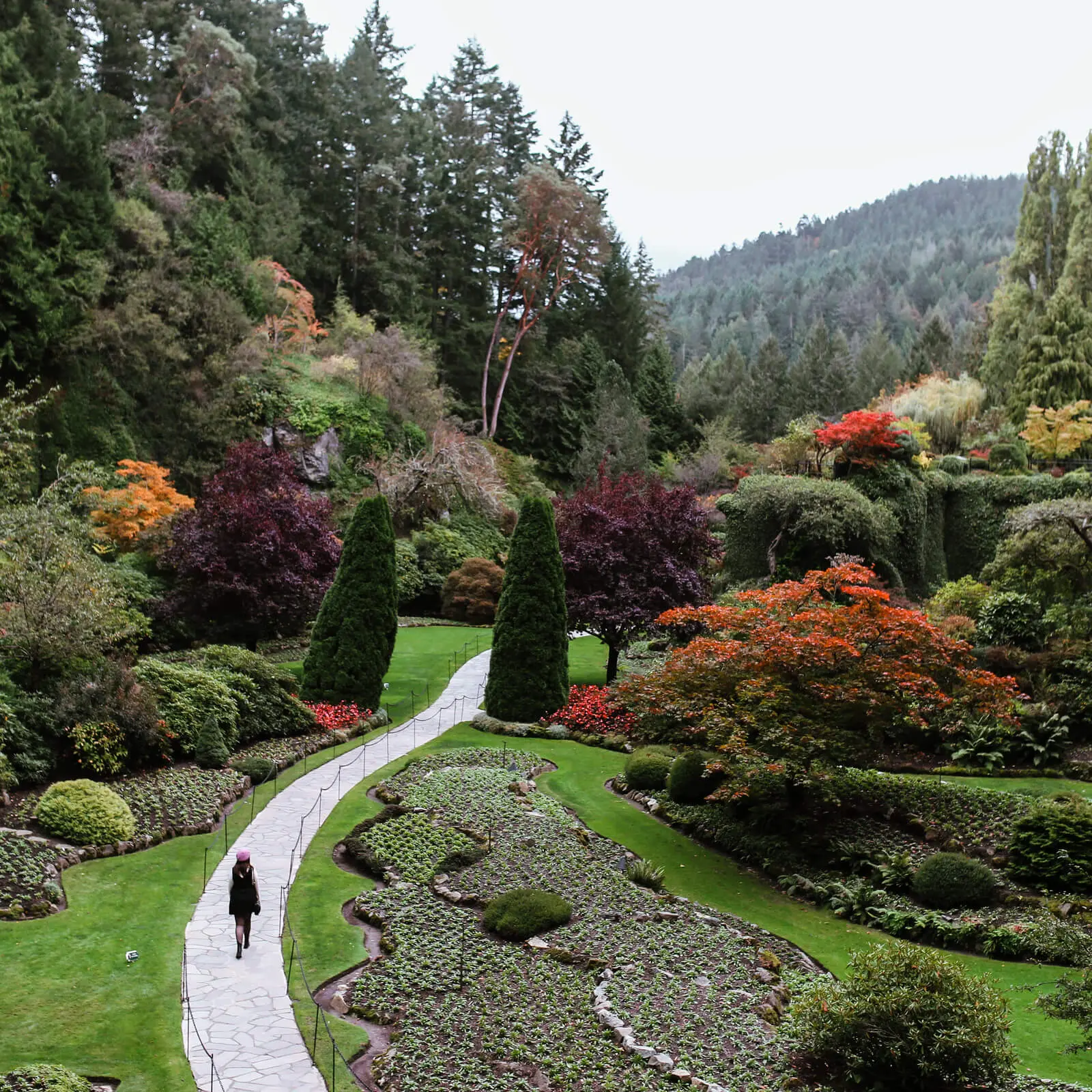 A person walks along a curved stone path through a lush, landscaped garden with vibrant trees and manicured bushes—an ideal spot to include on any Vancouver itinerary, nestled amid tall forested hills and colorful flower beds.