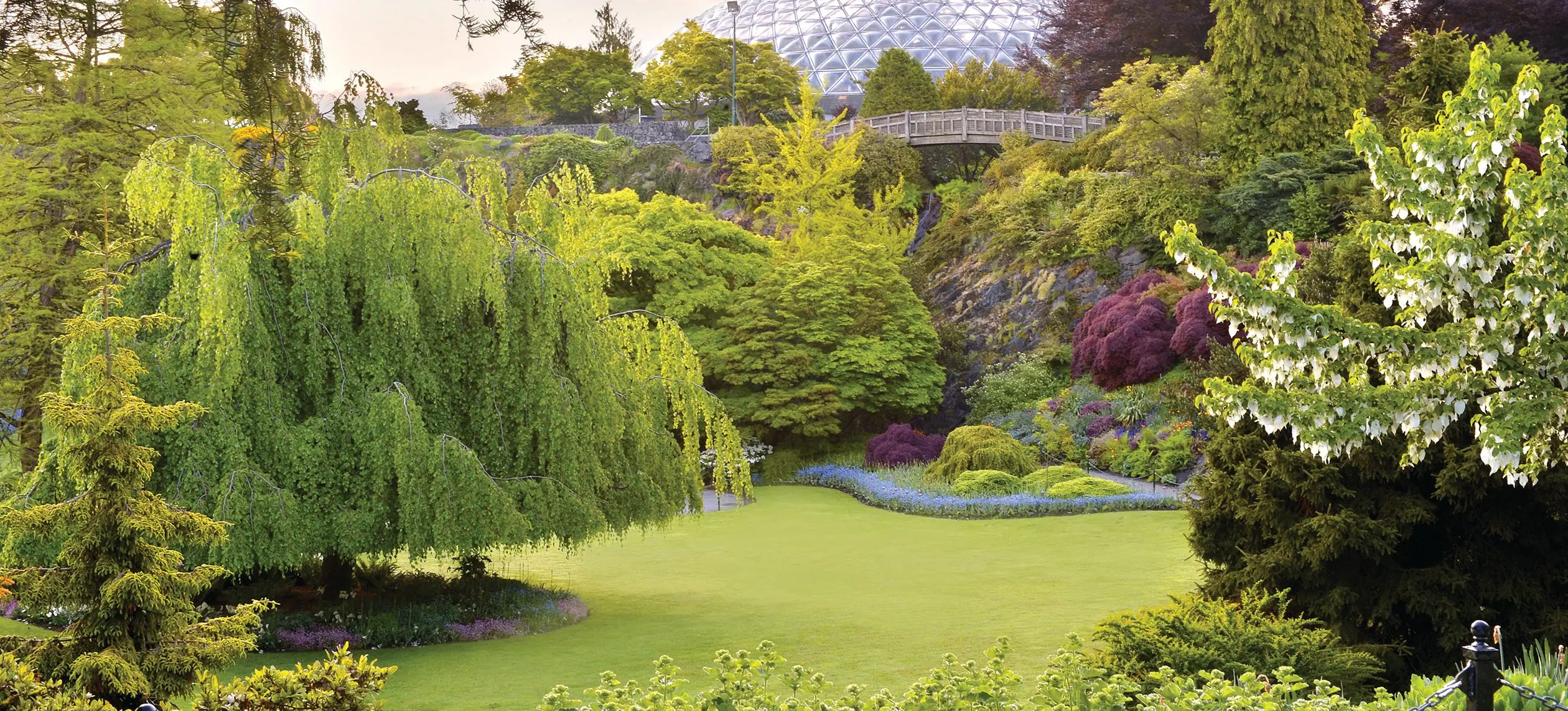 Bloedel Conservatory