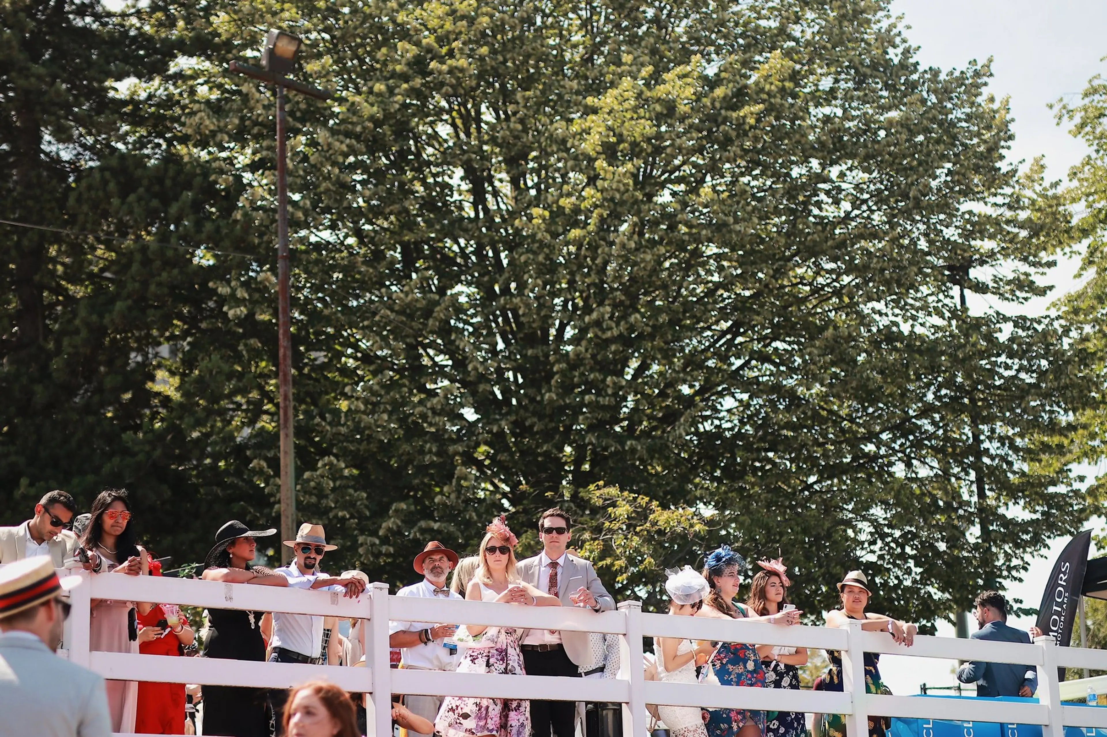 Spend A Day at the Races for The Cup at Hastings Racecourse
