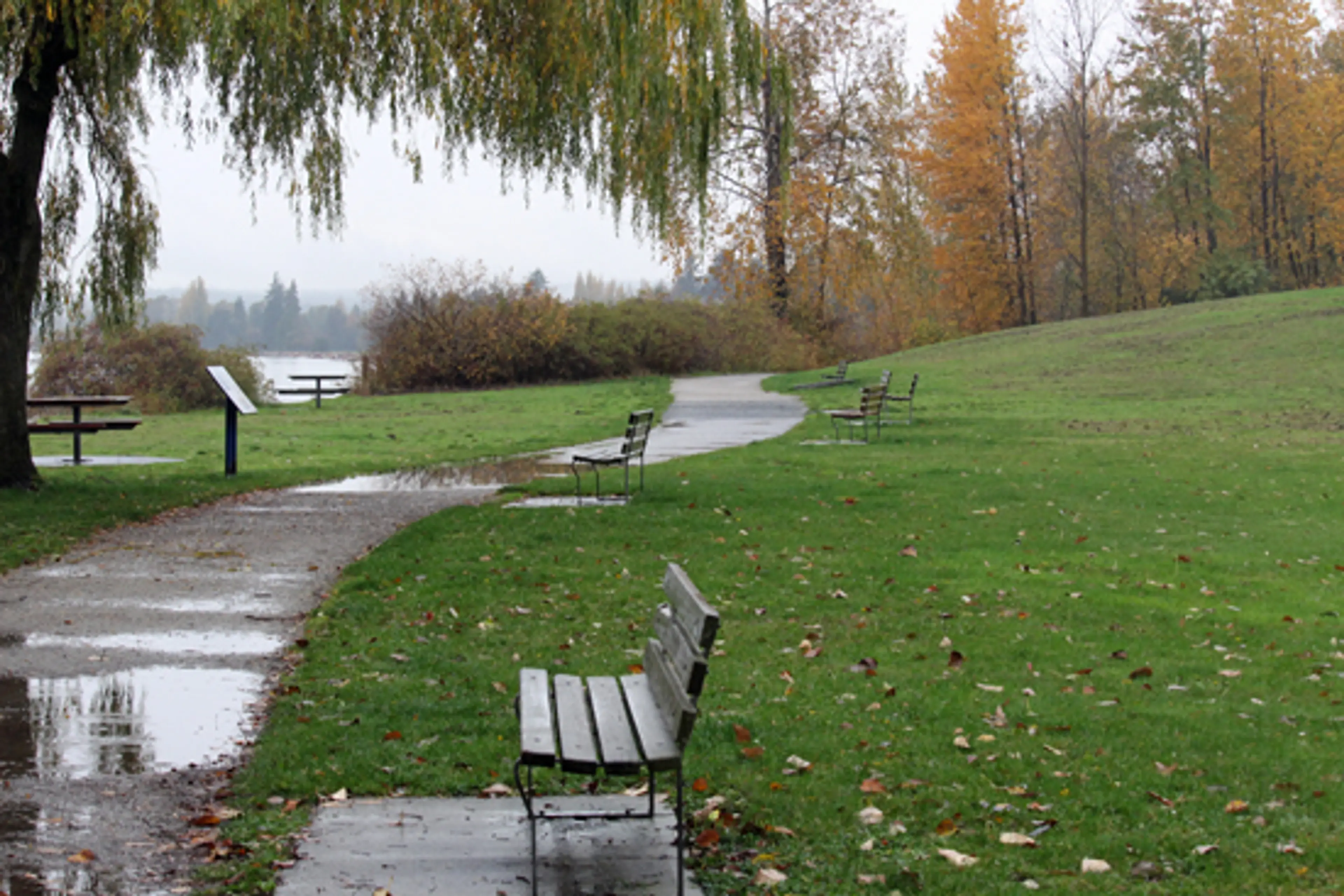 A Moment of Zen – Vancouver’s Fraser River Park
