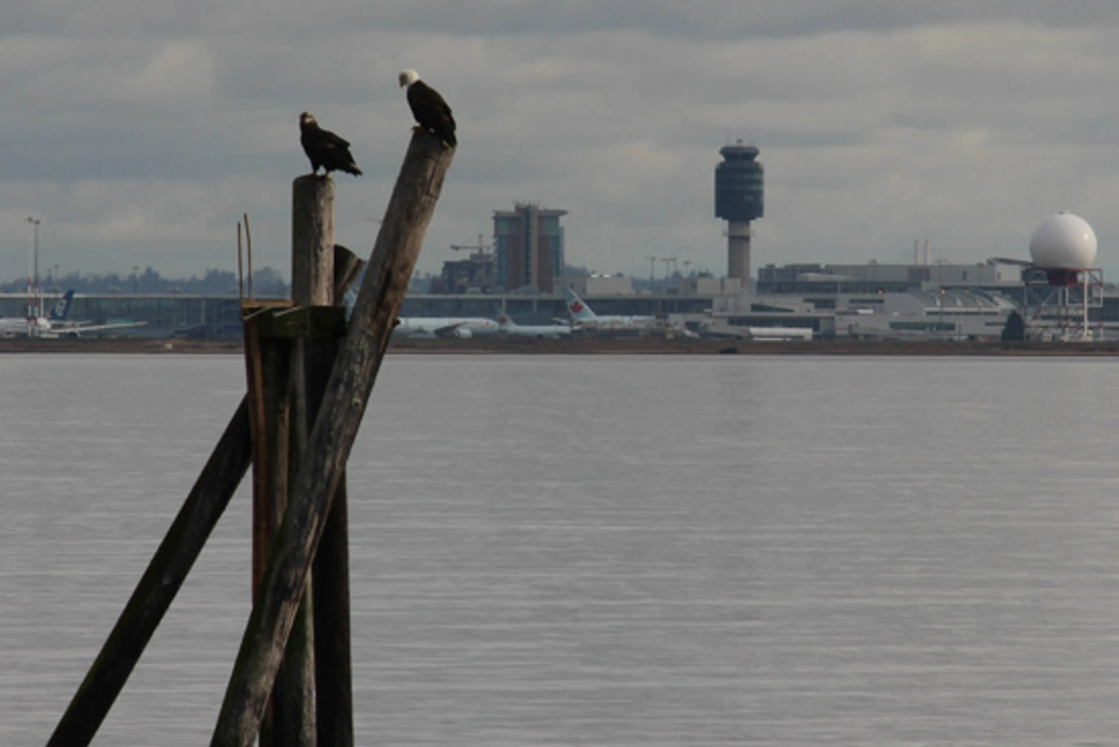 Cleared for Take Off – YVR Cycling Routes