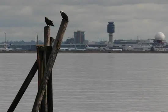 Cleared for Take Off – YVR Cycling Routes