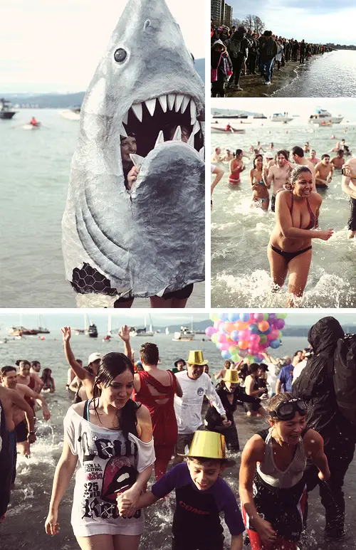 vancouver polar bear swim 2017